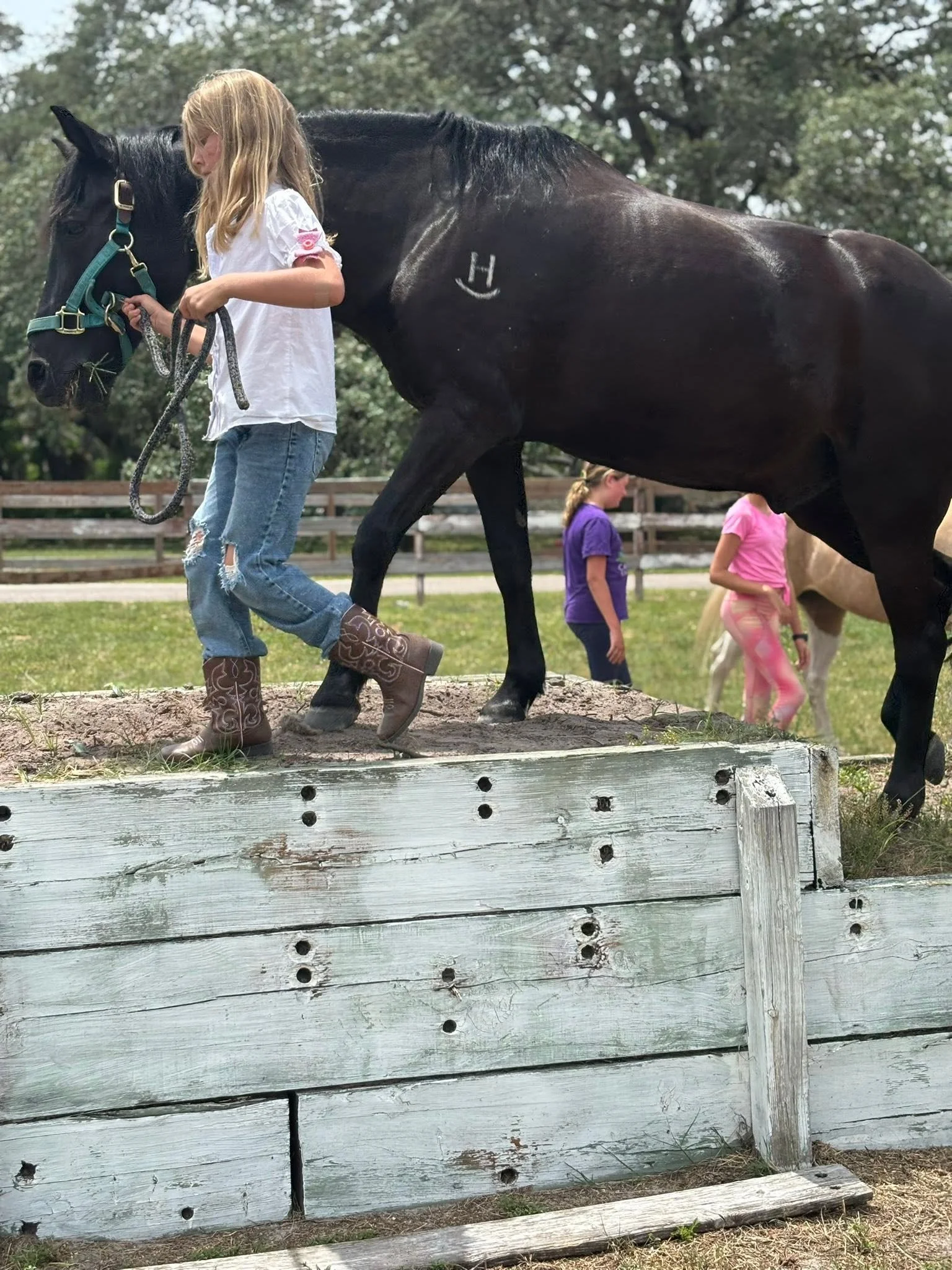 A young girl in jeans and cowboy boots leading a black horse in an outdoor riding area, with other children in the background.