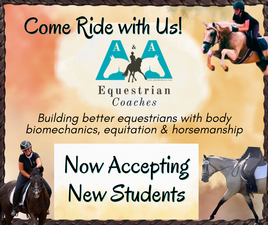 Now Accepting New Students