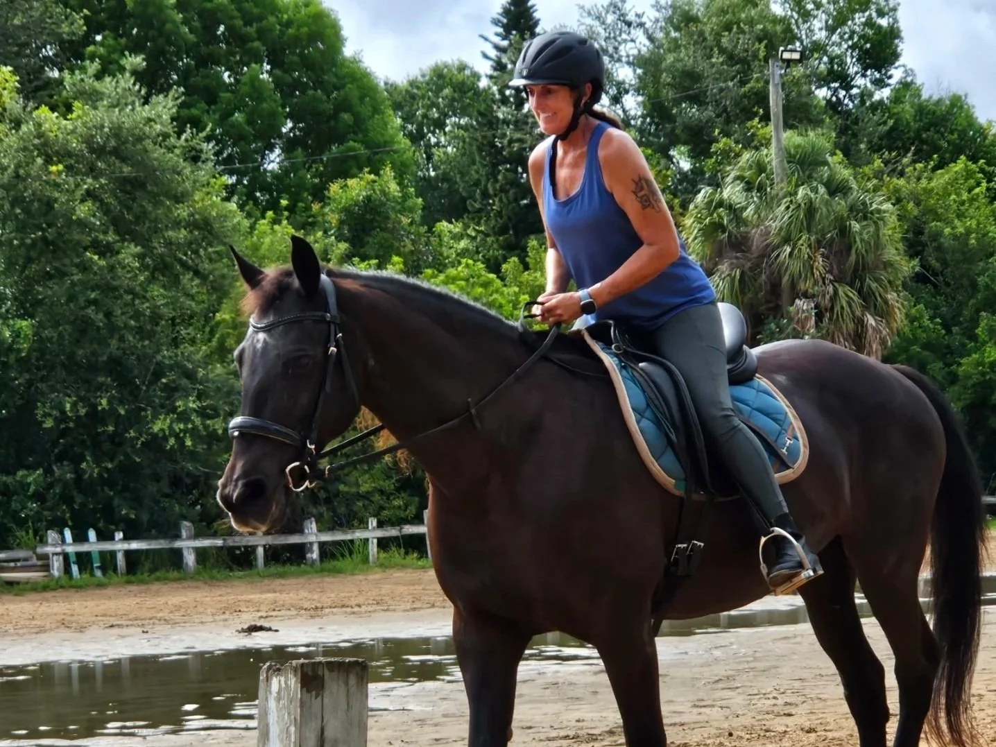 A woman wearing a black helmet and blue tank top riding a black horse outdoors, with green trees in the background.