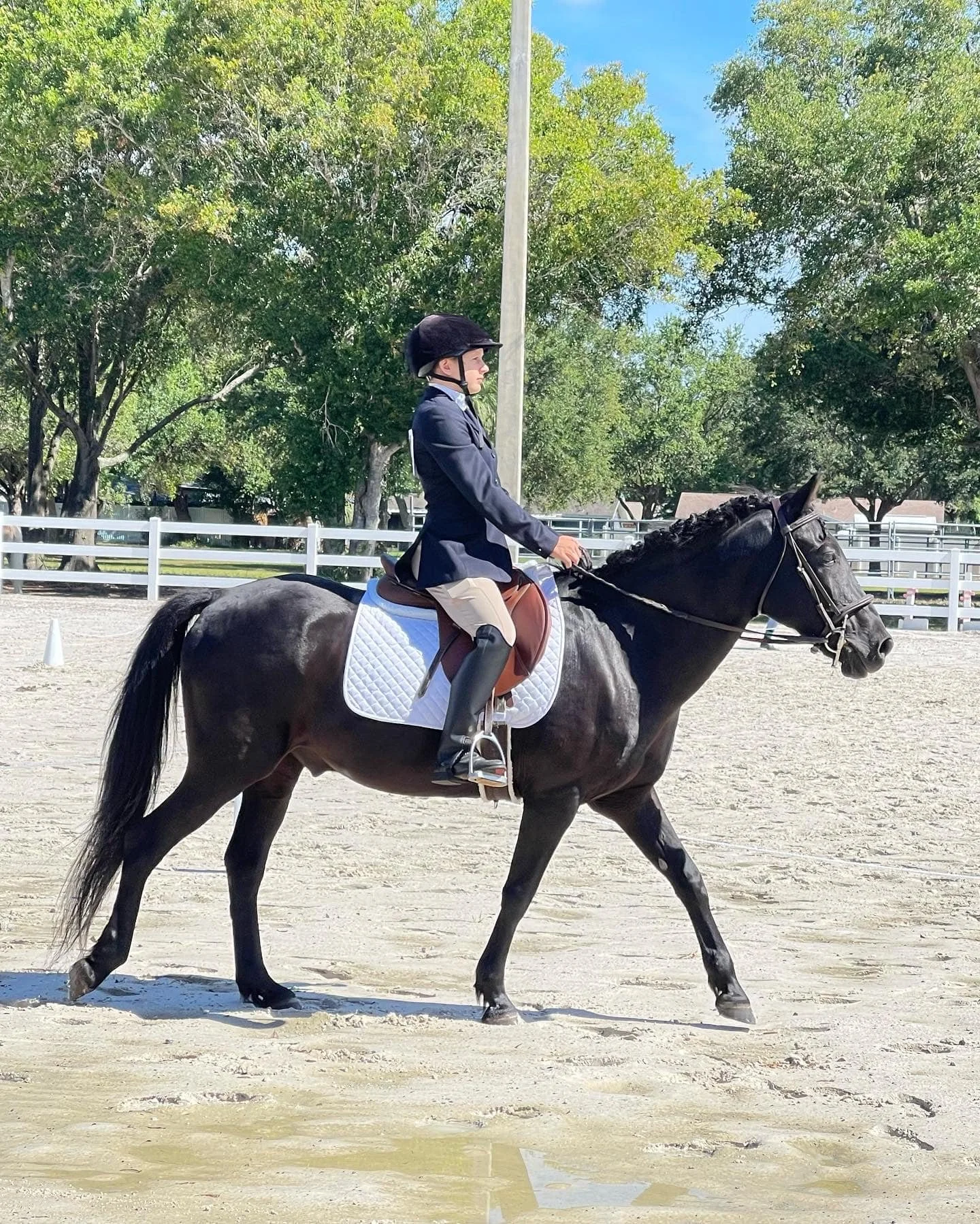 A person riding a black horse in an outdoor riding arena, wearing equestrian attire including a helmet, jacket, and beige riding pants.