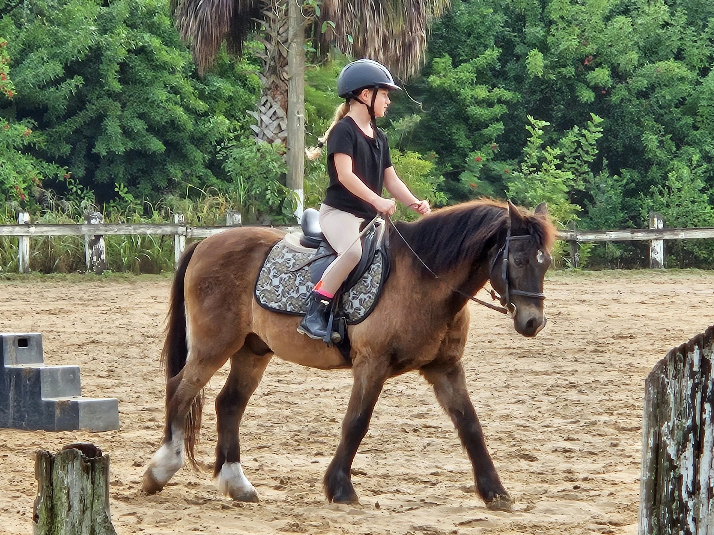 Private Horseback Riding Lessons Dressage English and Huntseat