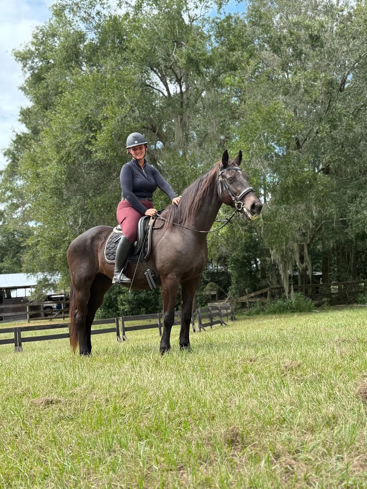 A woman wearing a riding helmet and riding gear is sitting on a brown horse with a bridle in a grassy outdoor area with trees and fencing in the background.