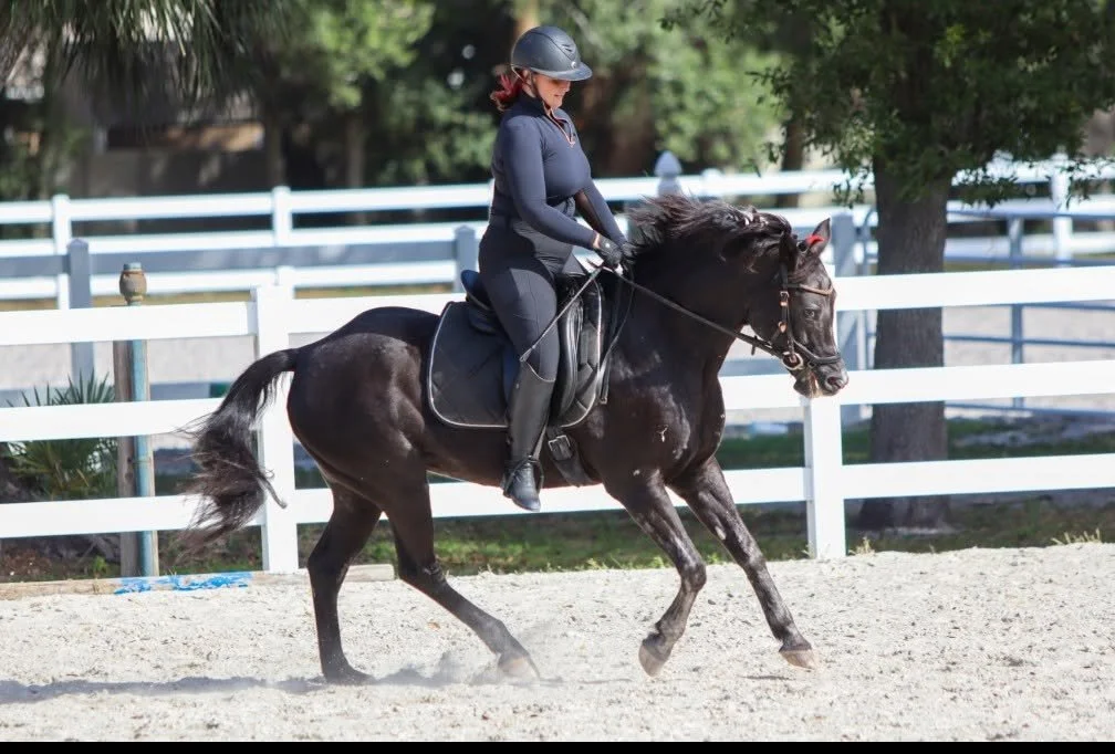 Woman riding a black horse in an outdoor riding arena with white fencing and trees in the background.