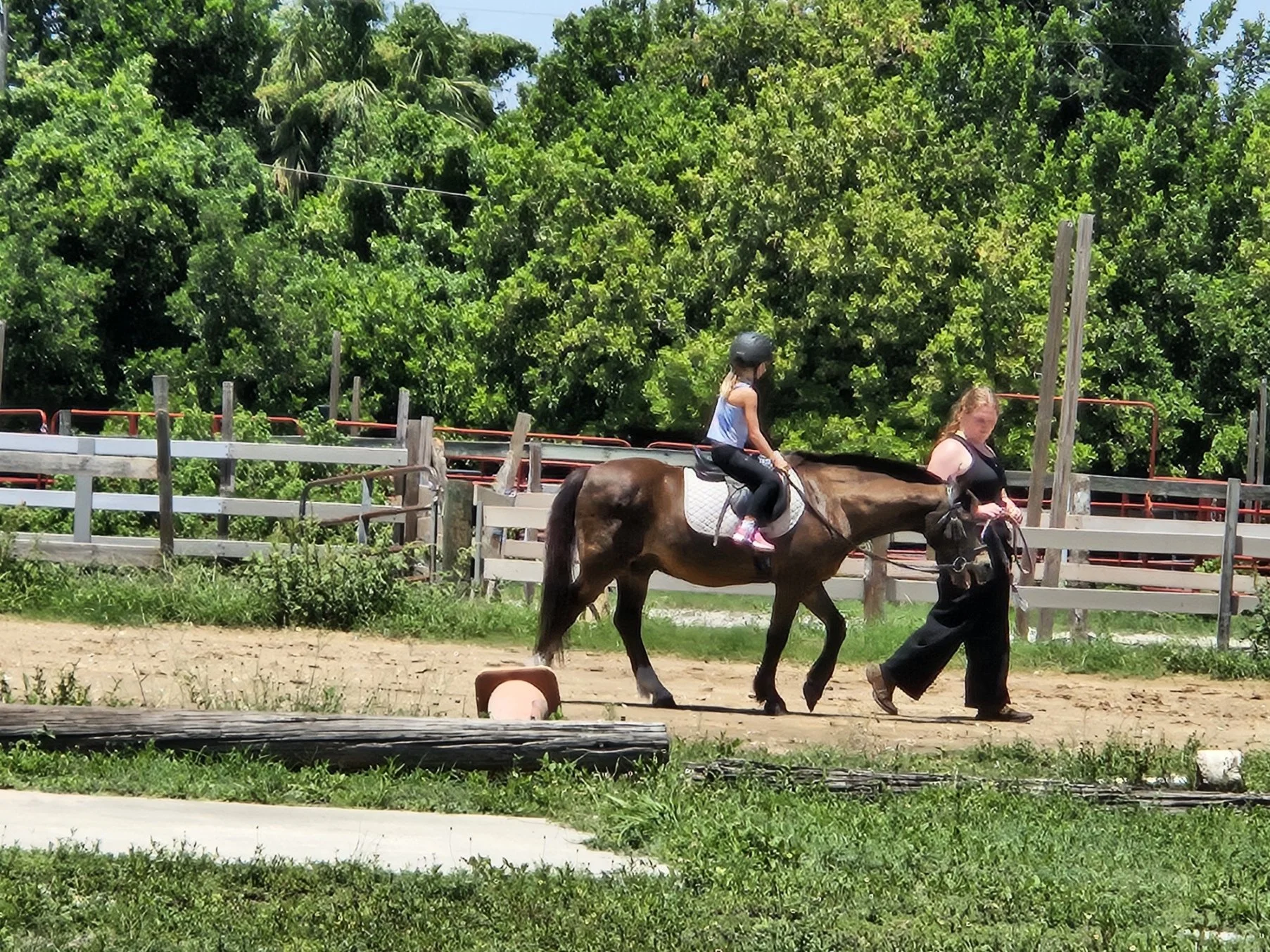 A young girl riding a brown horse on a farm, accompanied by a woman leading the horse, with green trees and a wooden fence in the background.