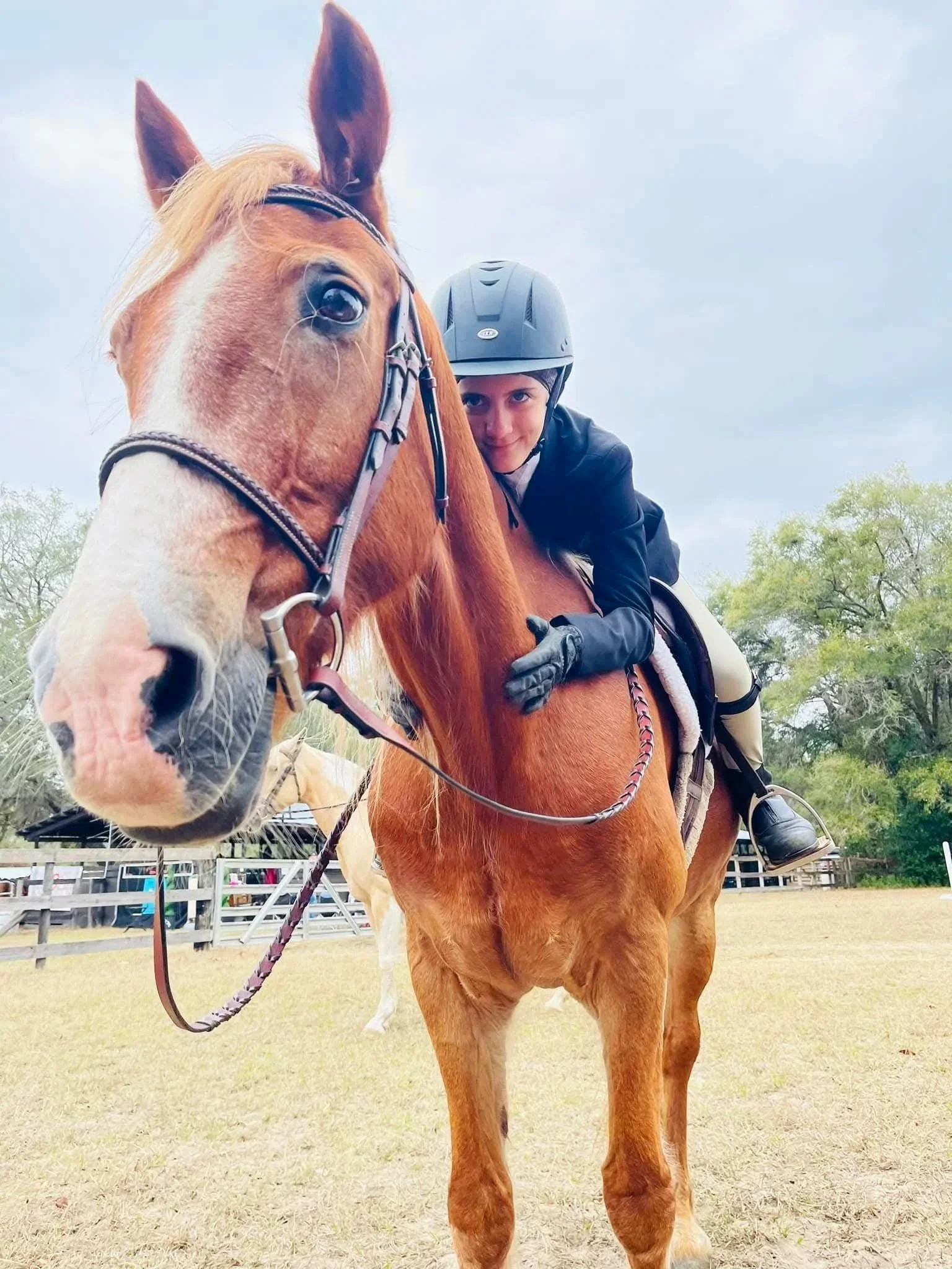 A person in riding gear and a helmet riding a chestnut horse at an outdoor riding arena, with trees and fences in the background.