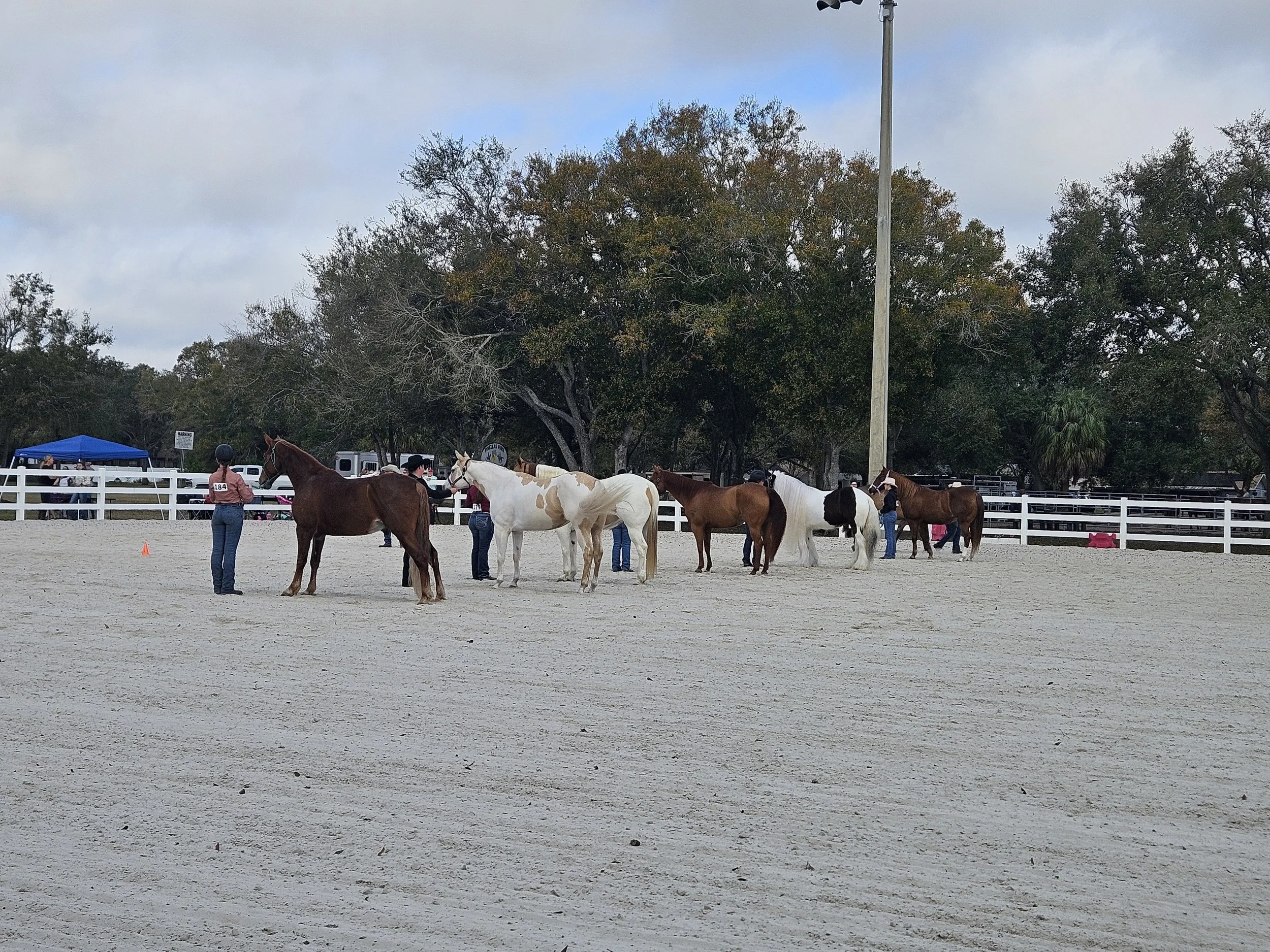 People and horses participating in an outdoor equestrian event behind a white fence under cloudy skies with trees in the background.