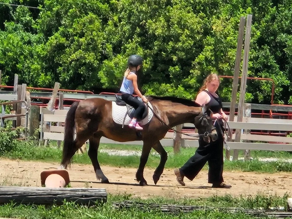 Private Riding Lessons for younger riders