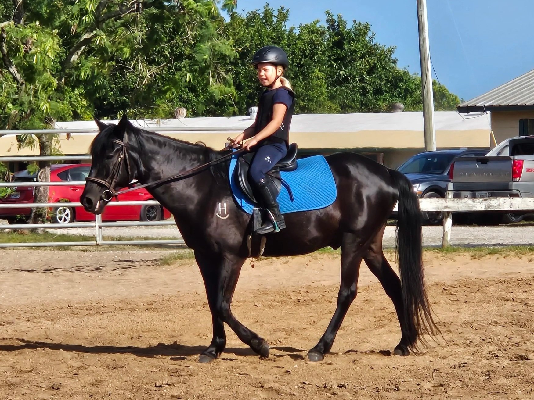 A young girl riding a dark brown horse with a blue saddle pad in an outdoor riding arena, wearing a black riding helmet and black riding pants.