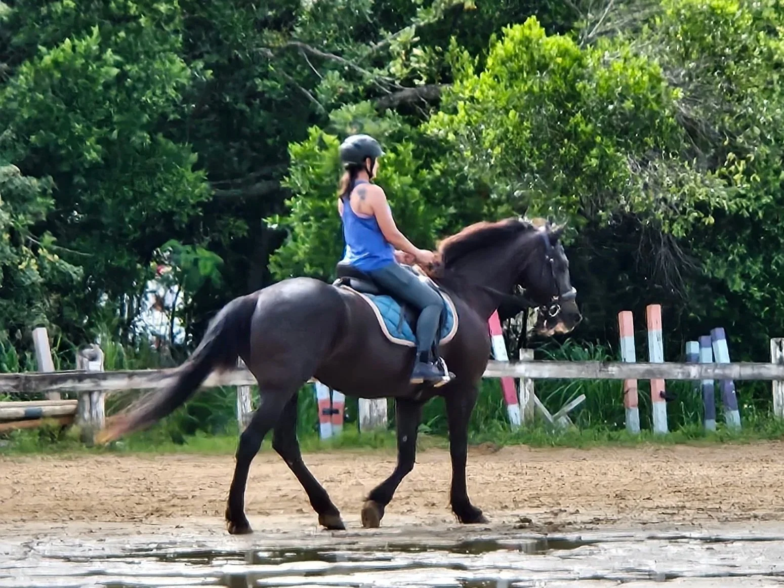 Private Horseback Riding Lessons for Adults