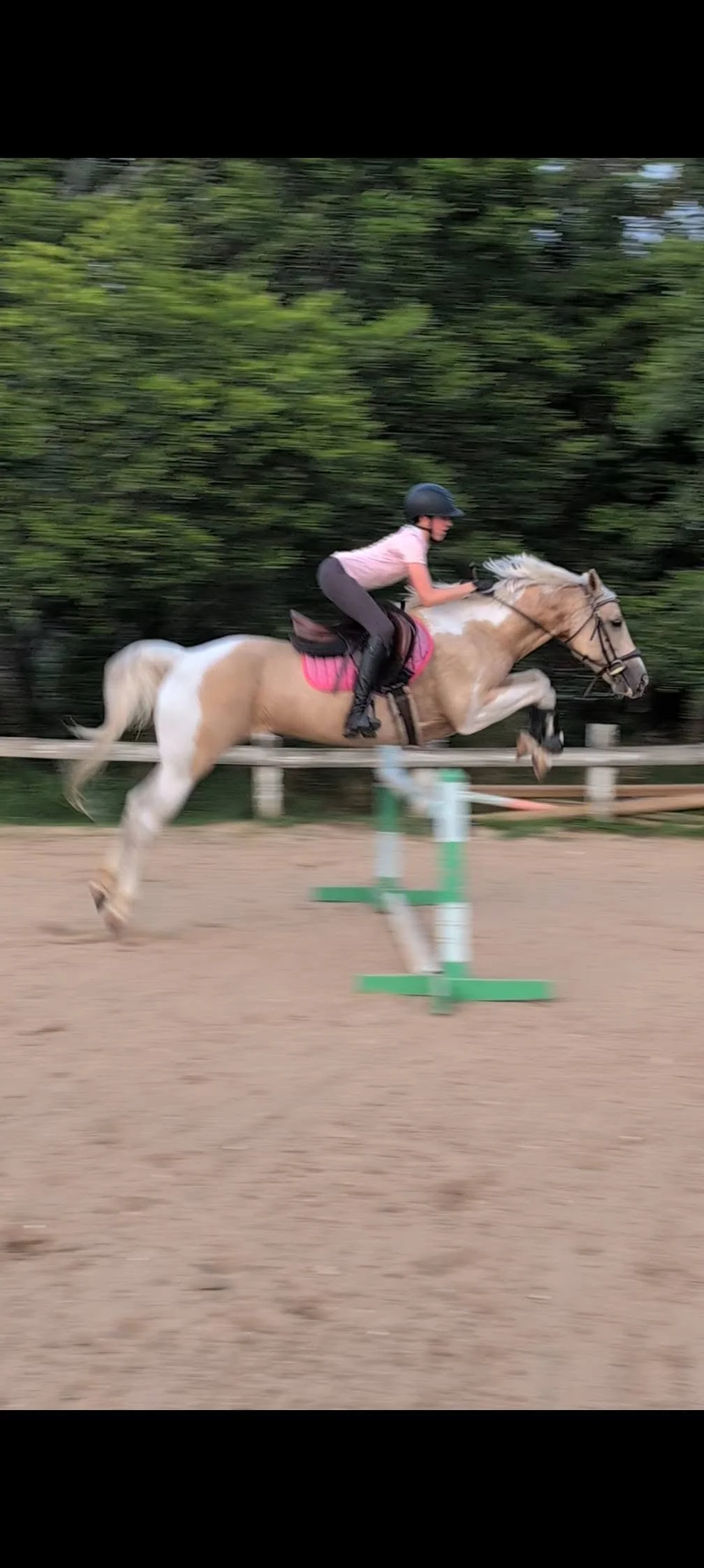 Willabelle jumping high