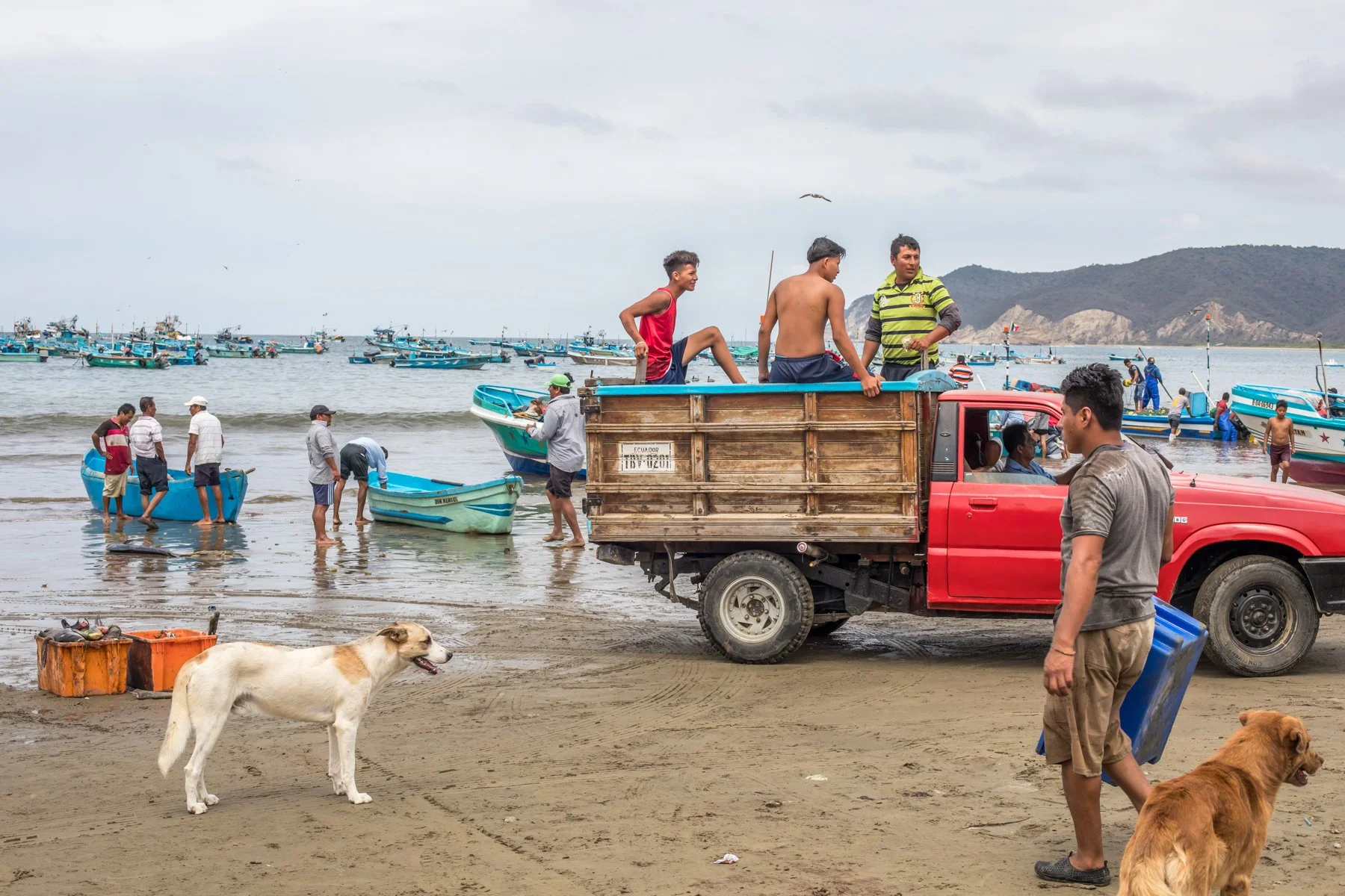 Fishermen, pickup trucks and fishing boats fill the beach at Puerto López as the morning fish market gets underway. The image captures the everyday atmosphere of one of Ecuador’s best-known artisanal fishing communities.