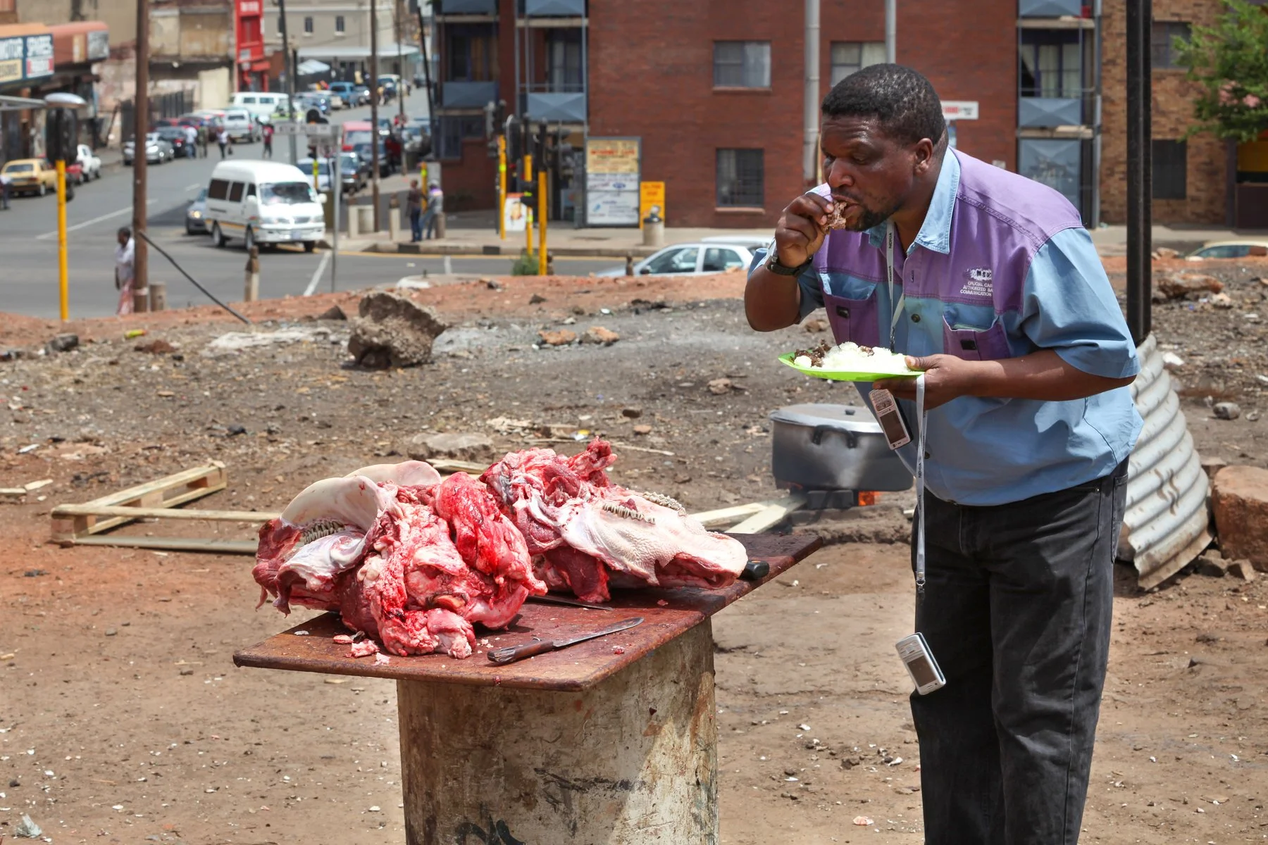 South-Africa_2009-1021.jpg
