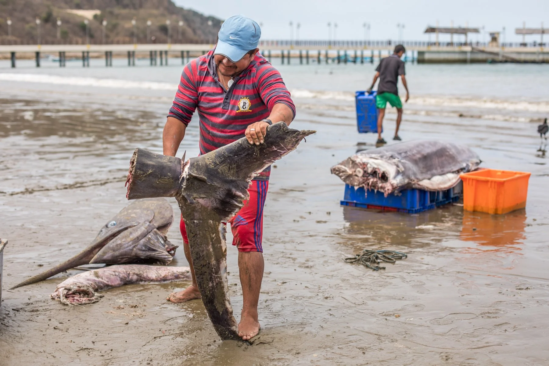Equador_2017-119.jpg