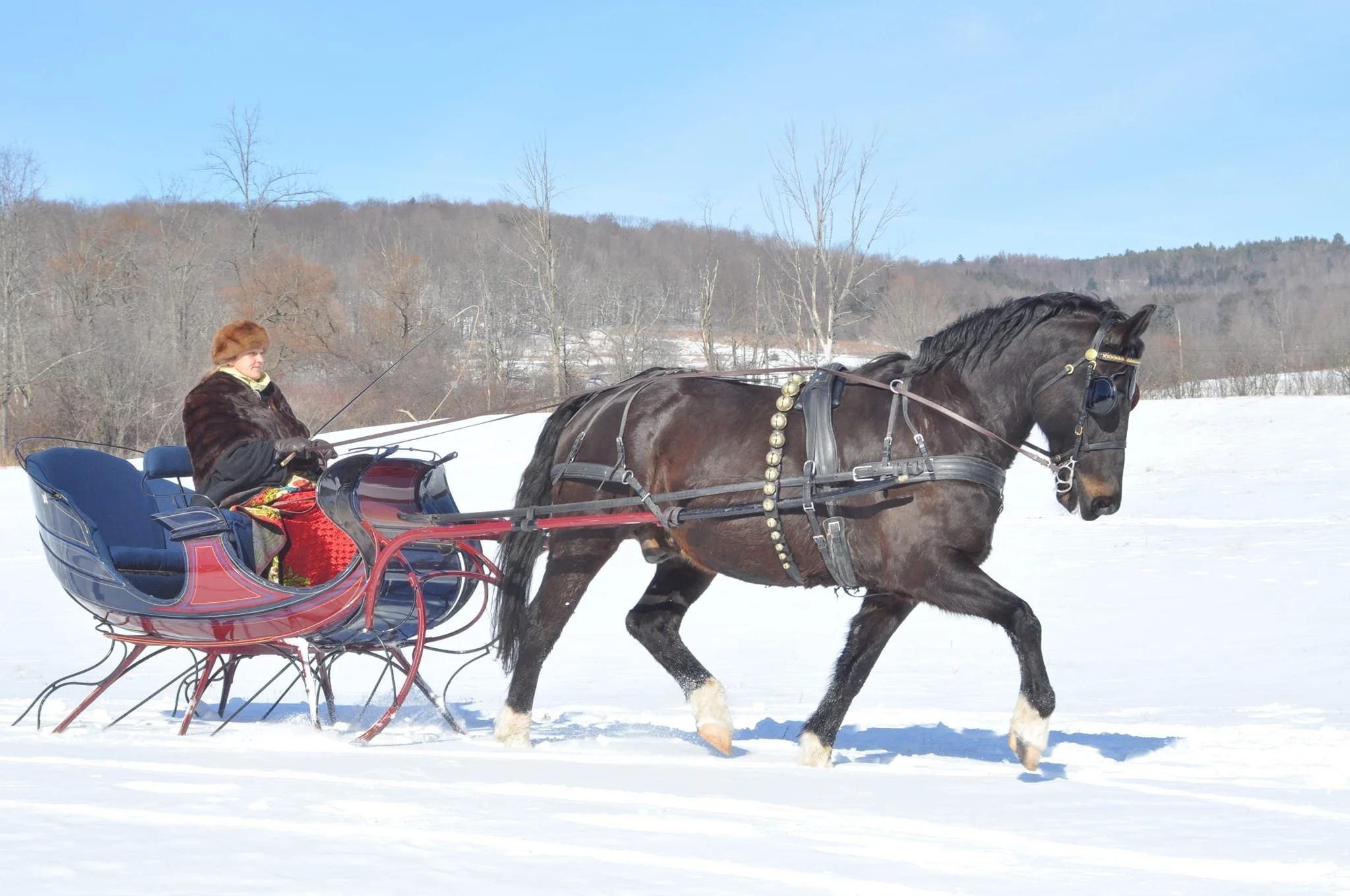 A person with a fur coat and scarf riding a horse-drawn sleigh on snow-covered ground in a winter landscape with leafless trees in the background.