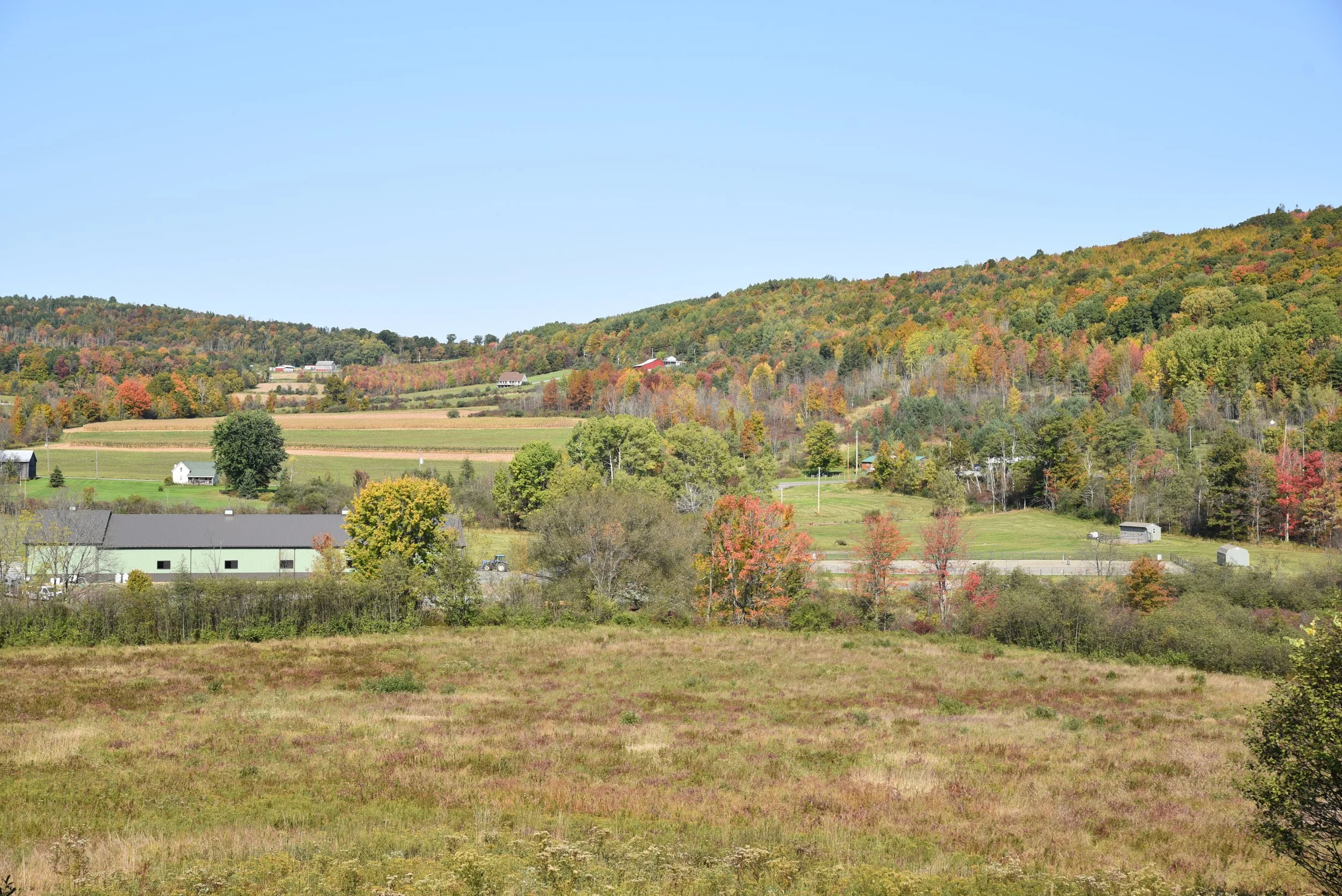 Scenic view of rolling hills and farmland with trees displaying fall colors, buildings, and a clear blue sky.