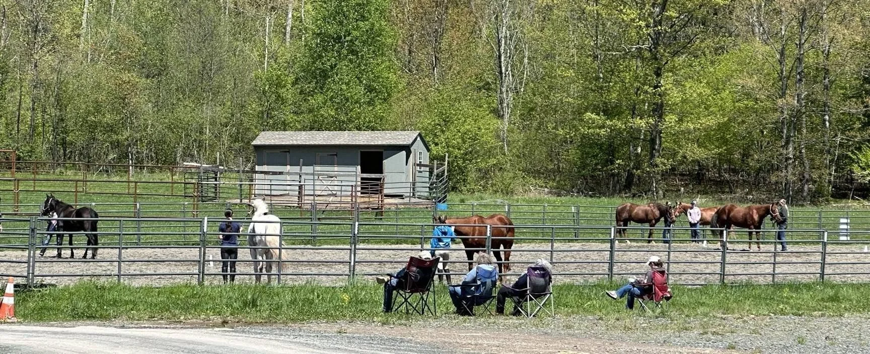 People sitting in chairs watching a horse training area where several horses are being led by handlers. Behind the horses, there is a small green barn and trees. 4H horsemanship clinic  at NorthWoods Farm, Dushore, PA