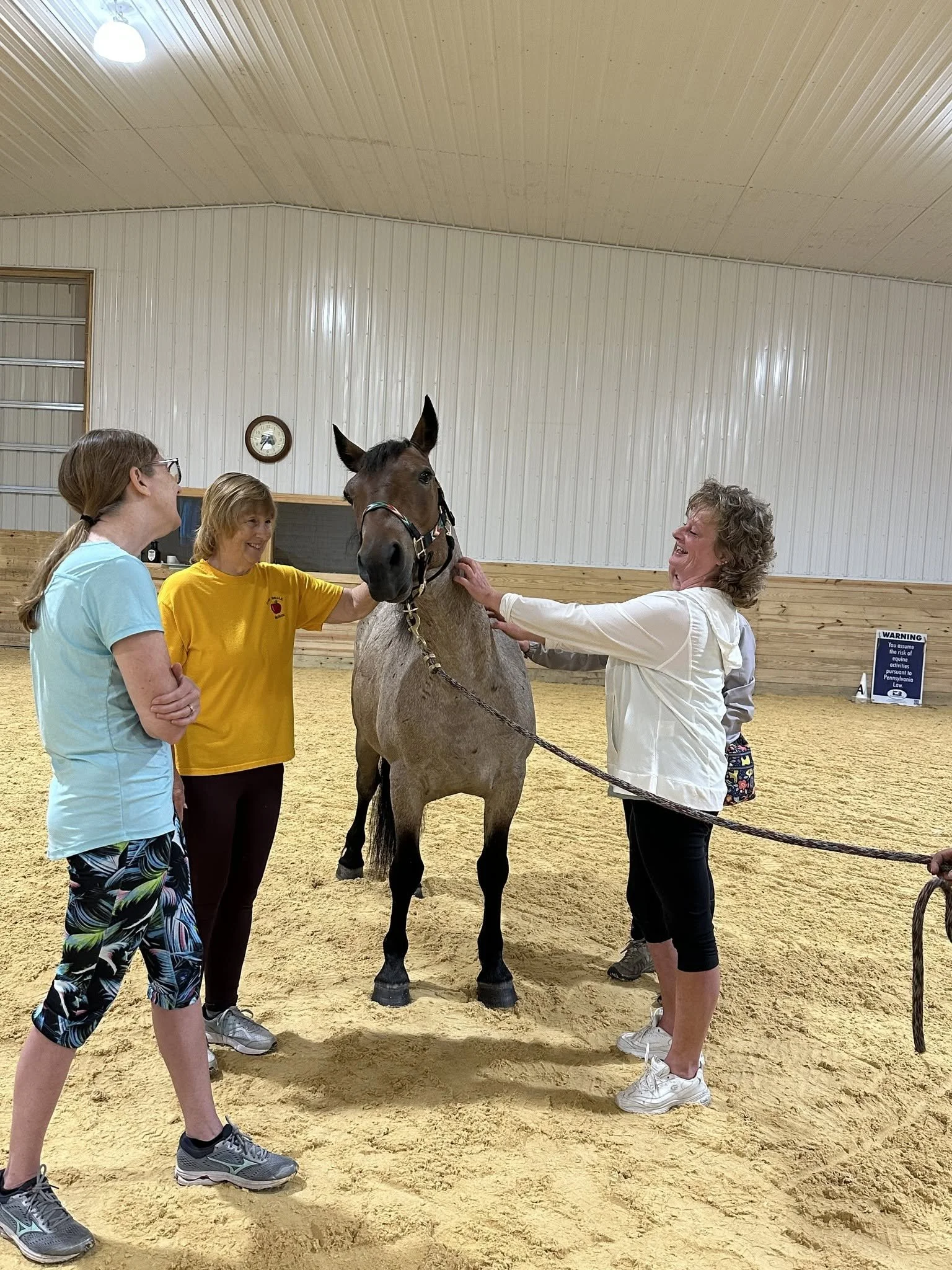 Four women are gathered around a brown horse inside a riding arena with yellow sand flooring. The women appear to be petting or examining the horse, and they are smiling and engaged with each other.  at NorthWoods Farm, Dushore, PA
