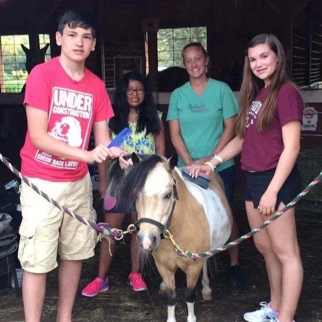 Four teenagers and a woman gathered around a small horse inside a barn. The teenagers are holding the horse's reins, and one girl is sitting on the horse. The group appears to be enjoying a daytime activity.