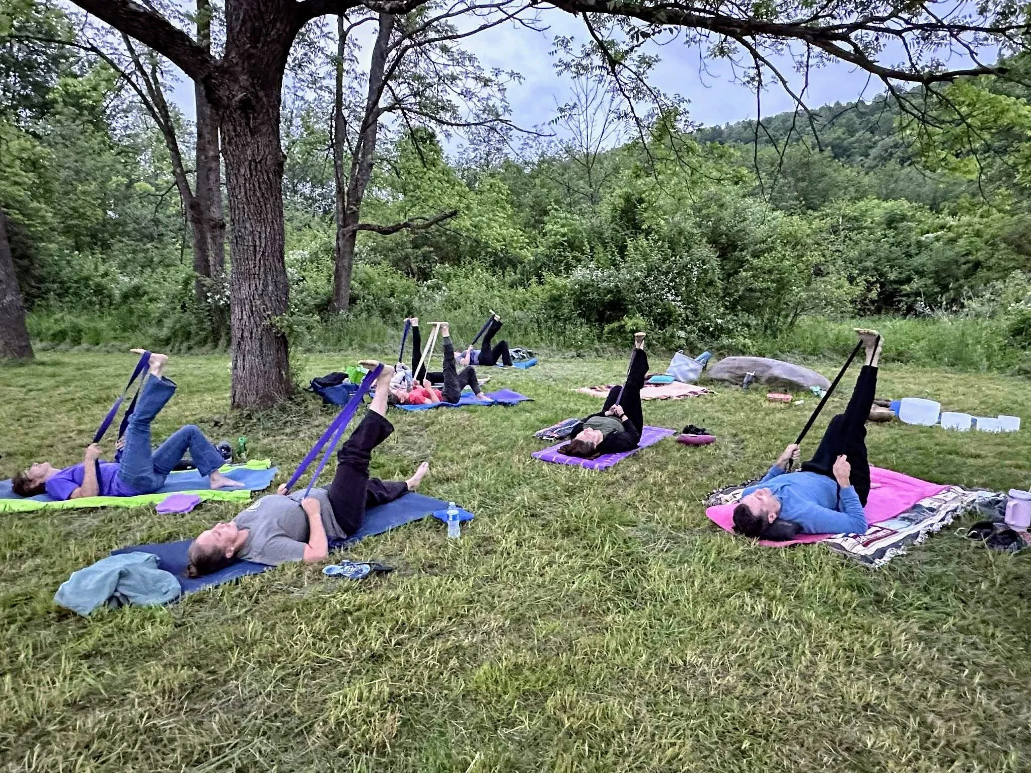 People practicing yoga outdoors on mats in a grassy area under trees with mountains in the background at NorthWoods Farm, Dushore, PA
