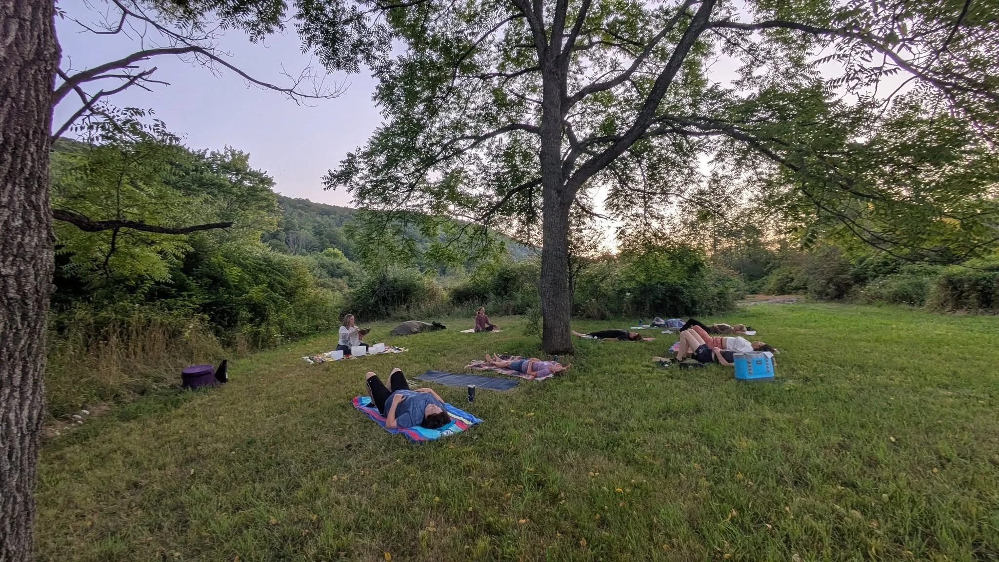 People practicing yoga outdoors under trees in a grassy area on a farm during sunset.  at NorthWoods Farm, Dushore, PA