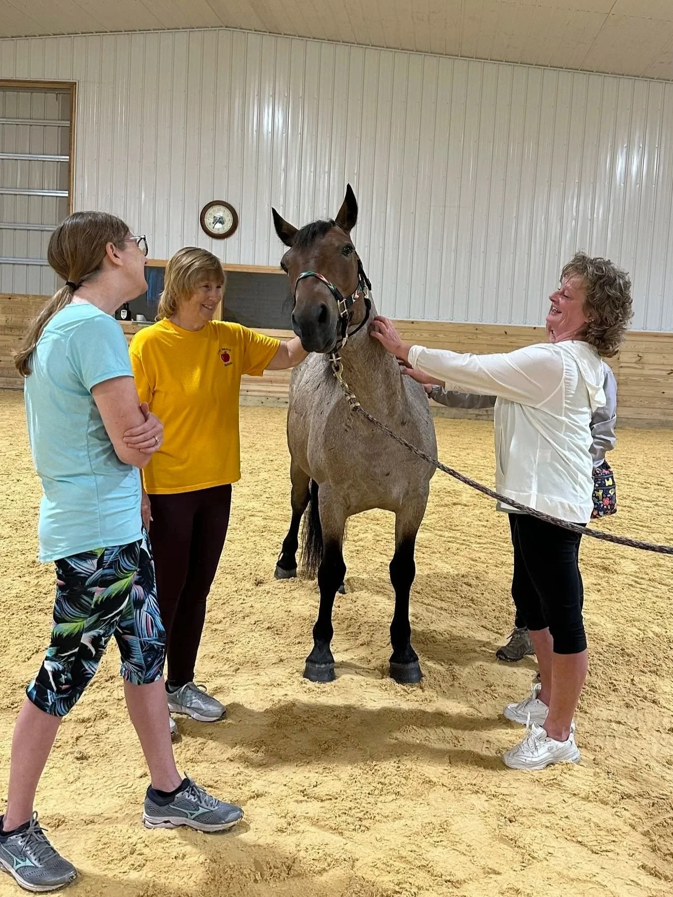 Four women are standing around a brown horse inside an indoor riding arena with wood-paneled walls and a clock on the wall. They are smiling and petting the horse. Mustang meditation  at NorthWoods Farm, Dushore, PA