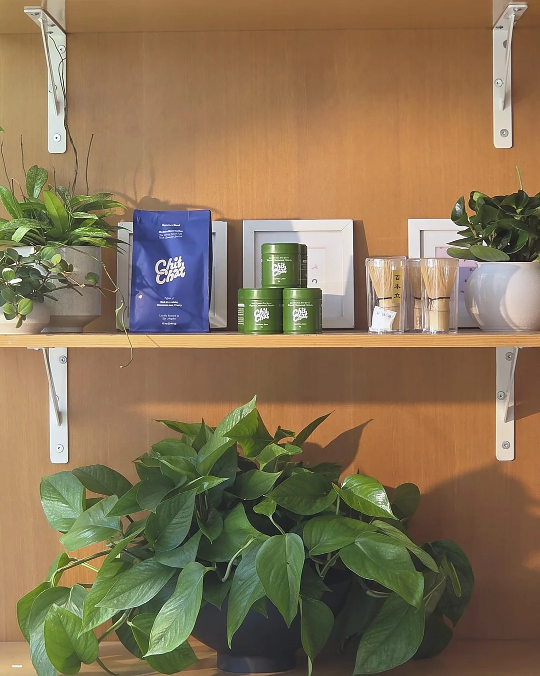 Wooden shelf with framed pictures, green plant containers, glass cups, and green indoor plants.