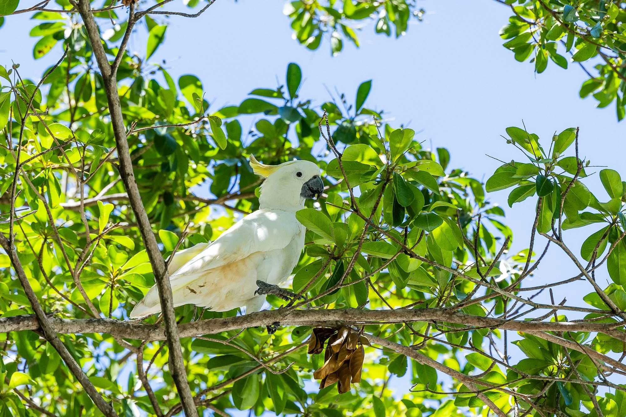 KiparaRetreat_030 (LowRes).jpg