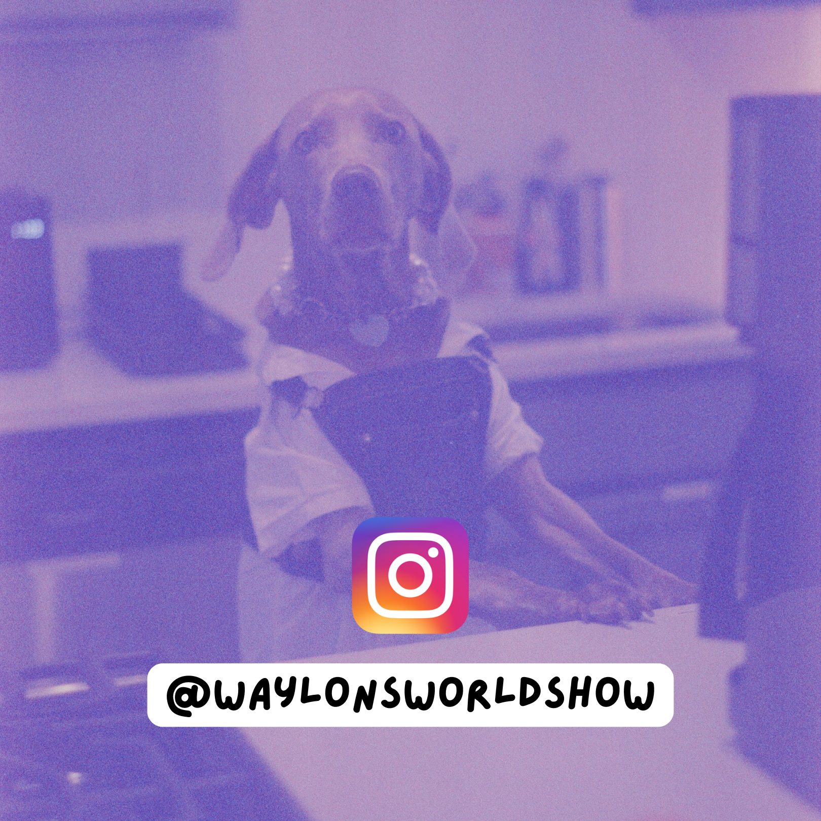 Waylon's Instagram