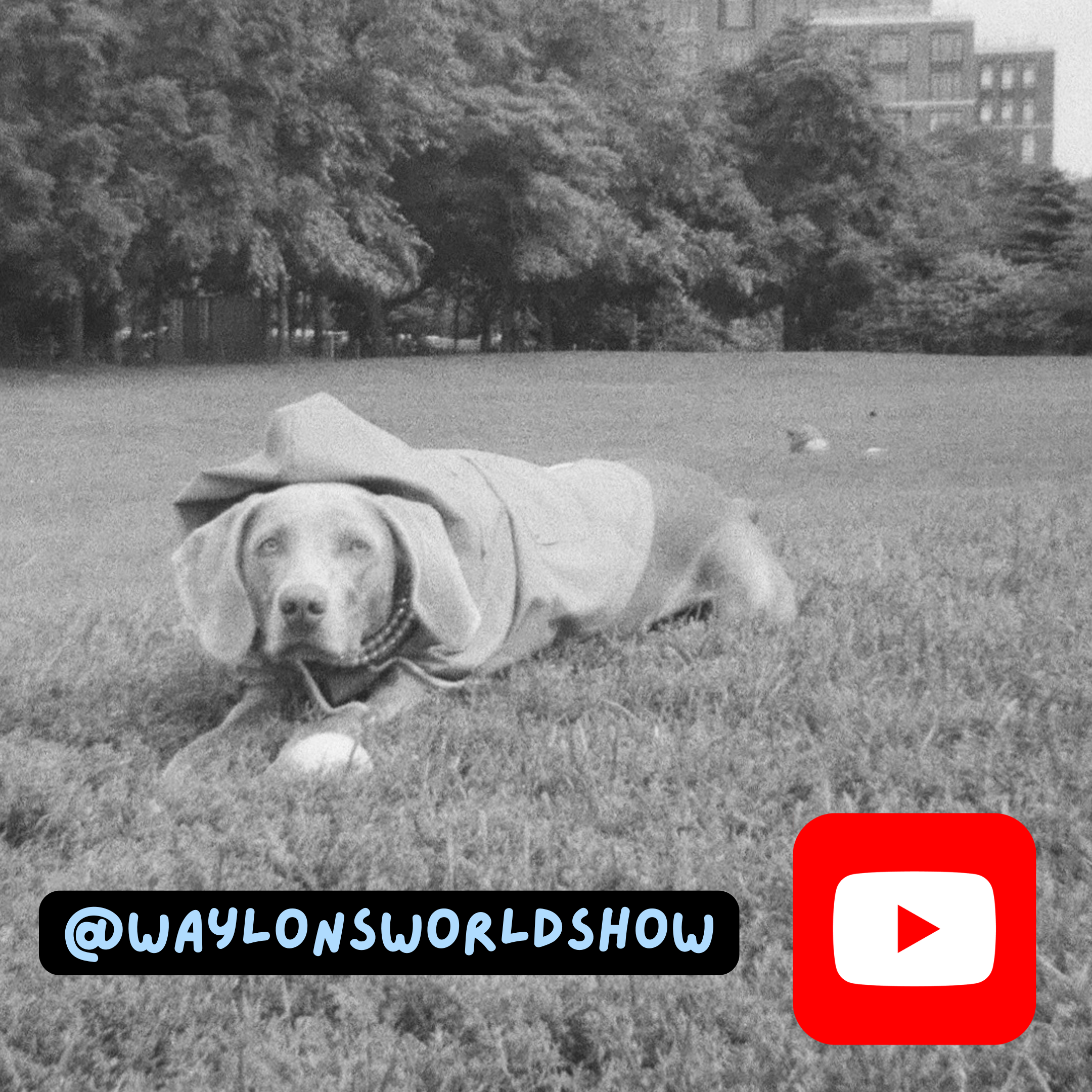 Waylon's YouTube