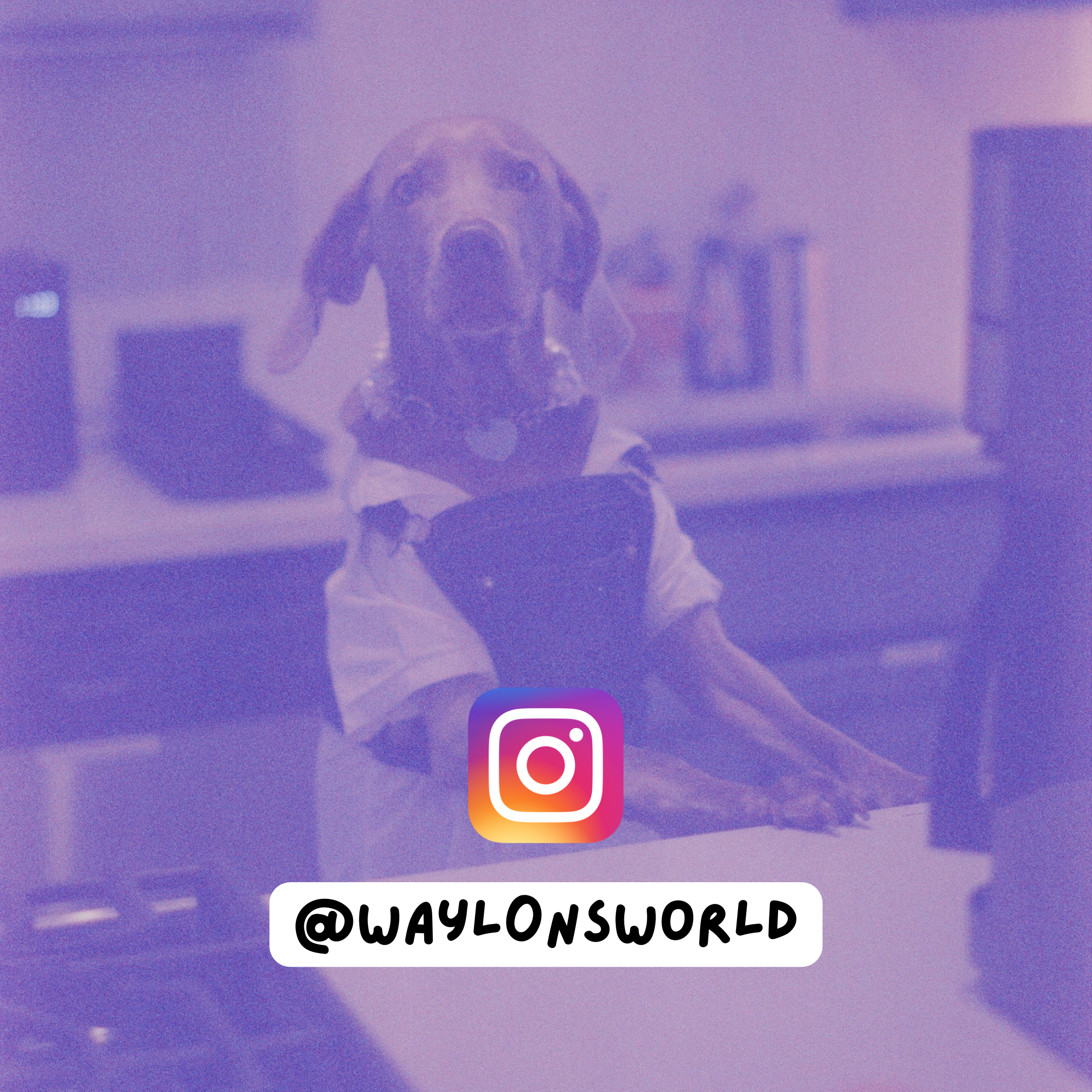 A person in the mirror taking a selfie with a smartphone, with an Instagram logo and the handle '@waylonsworld' overlaid on the image.