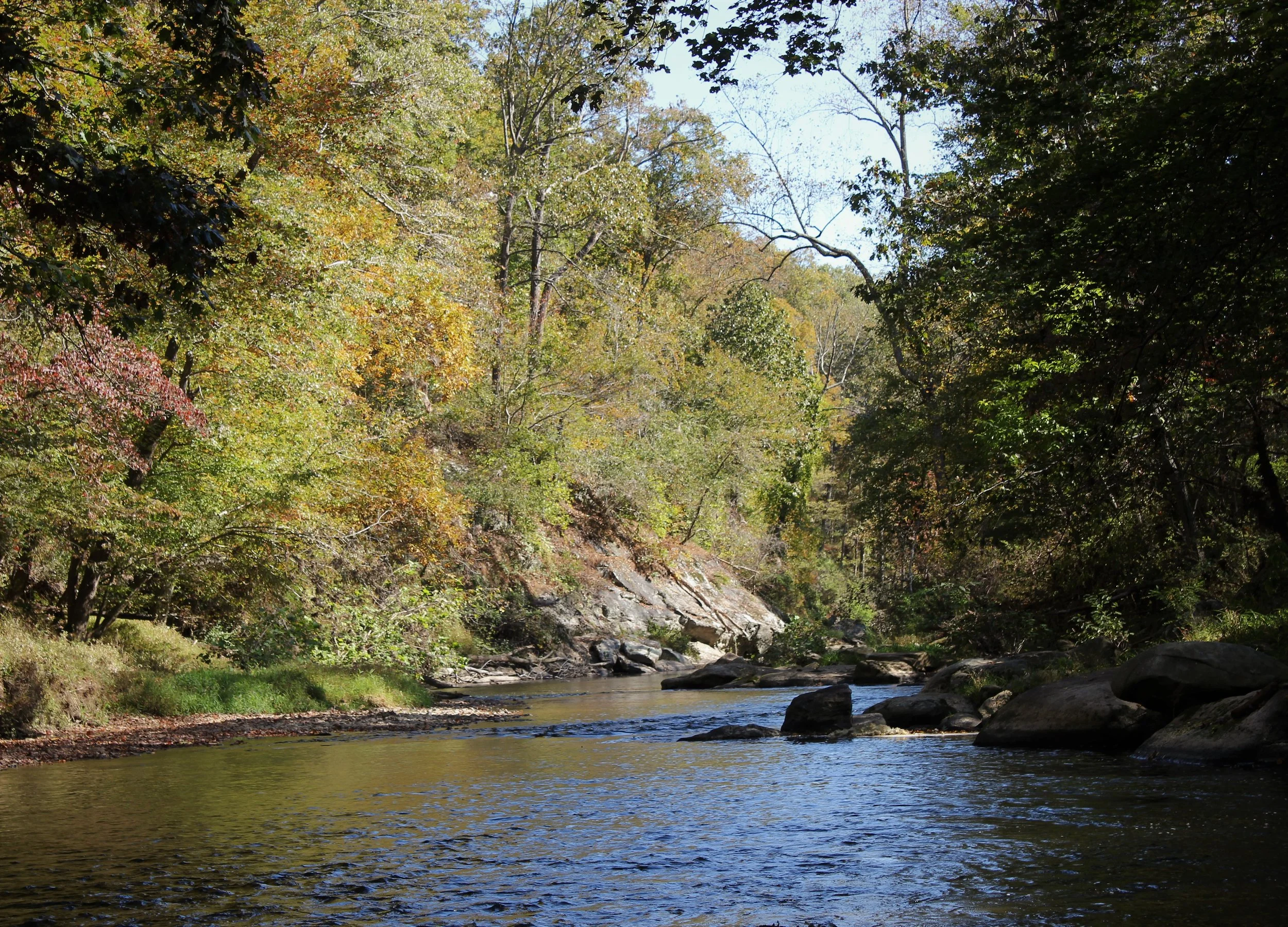 A peaceful river flowing through a forest with trees displaying fall foliage and a clear sky overhead.