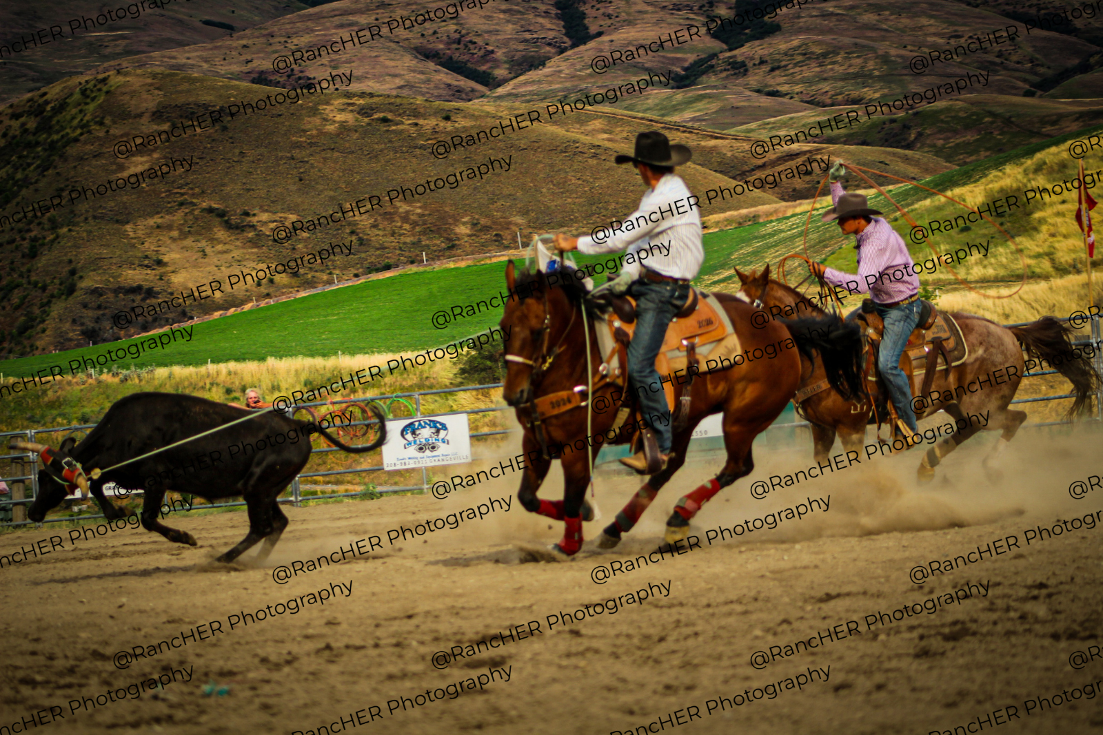 Untitled design - 32.png
