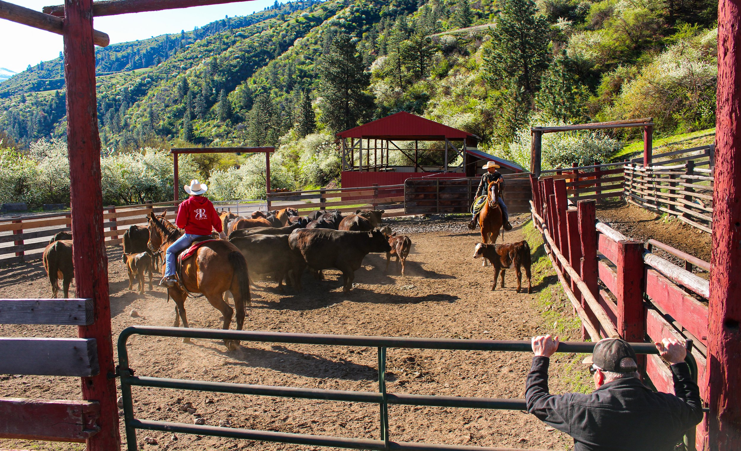 Ranches and Farms