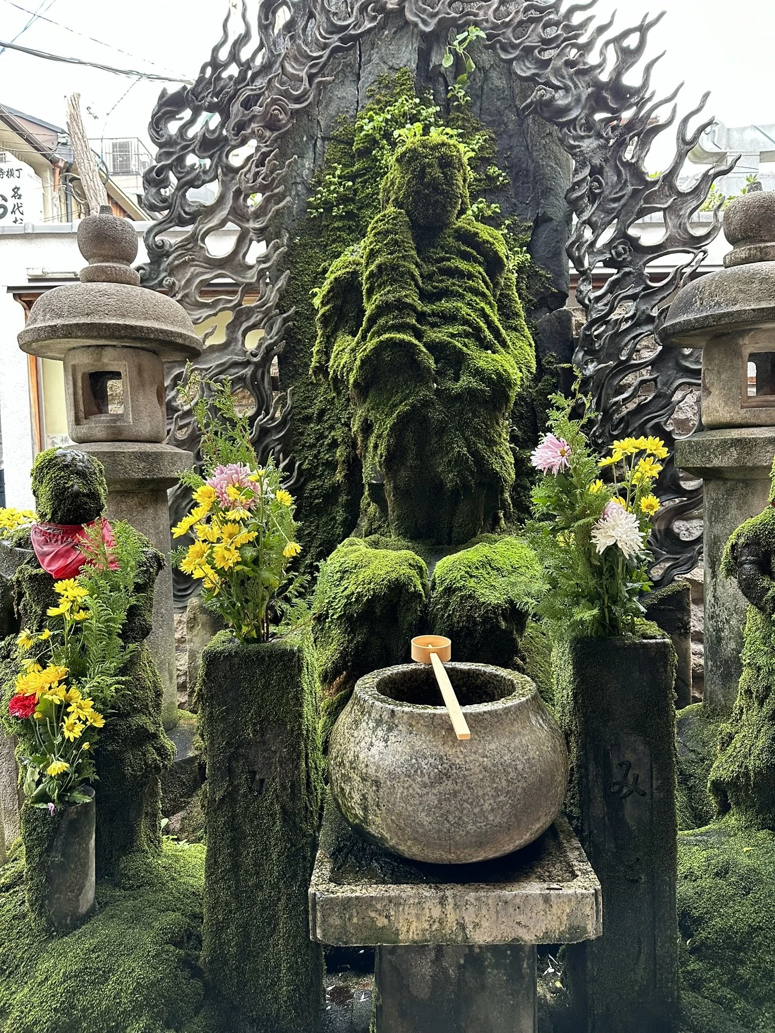 A moss-covered stone statue of a lion sits behind a moss-covered stone basin, surrounded by traditional stone lanterns and flowers, with a background of buildings and electrical wires.