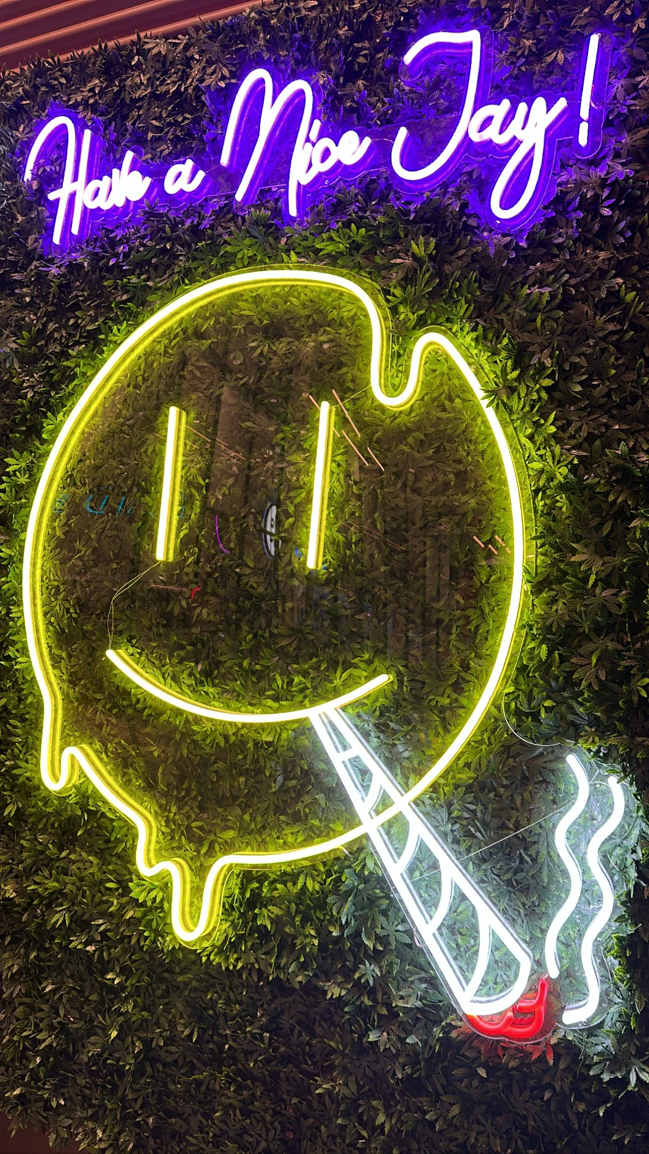 Neon sign with purple text reading 'HAVE A NICE DAY!' above a yellow neon outline of a person's head in profile, set against a background of lush green foliage.