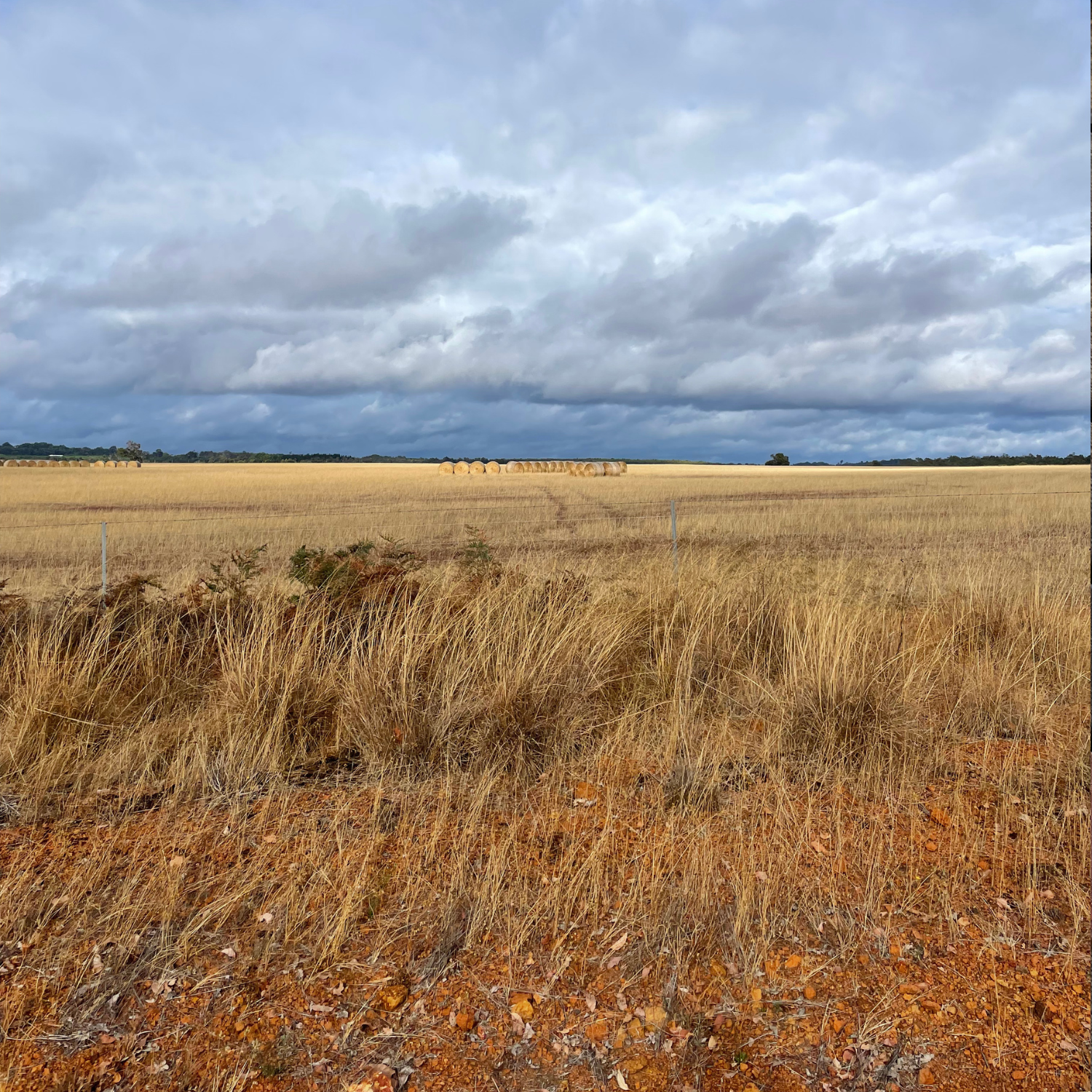 manjimup.png
