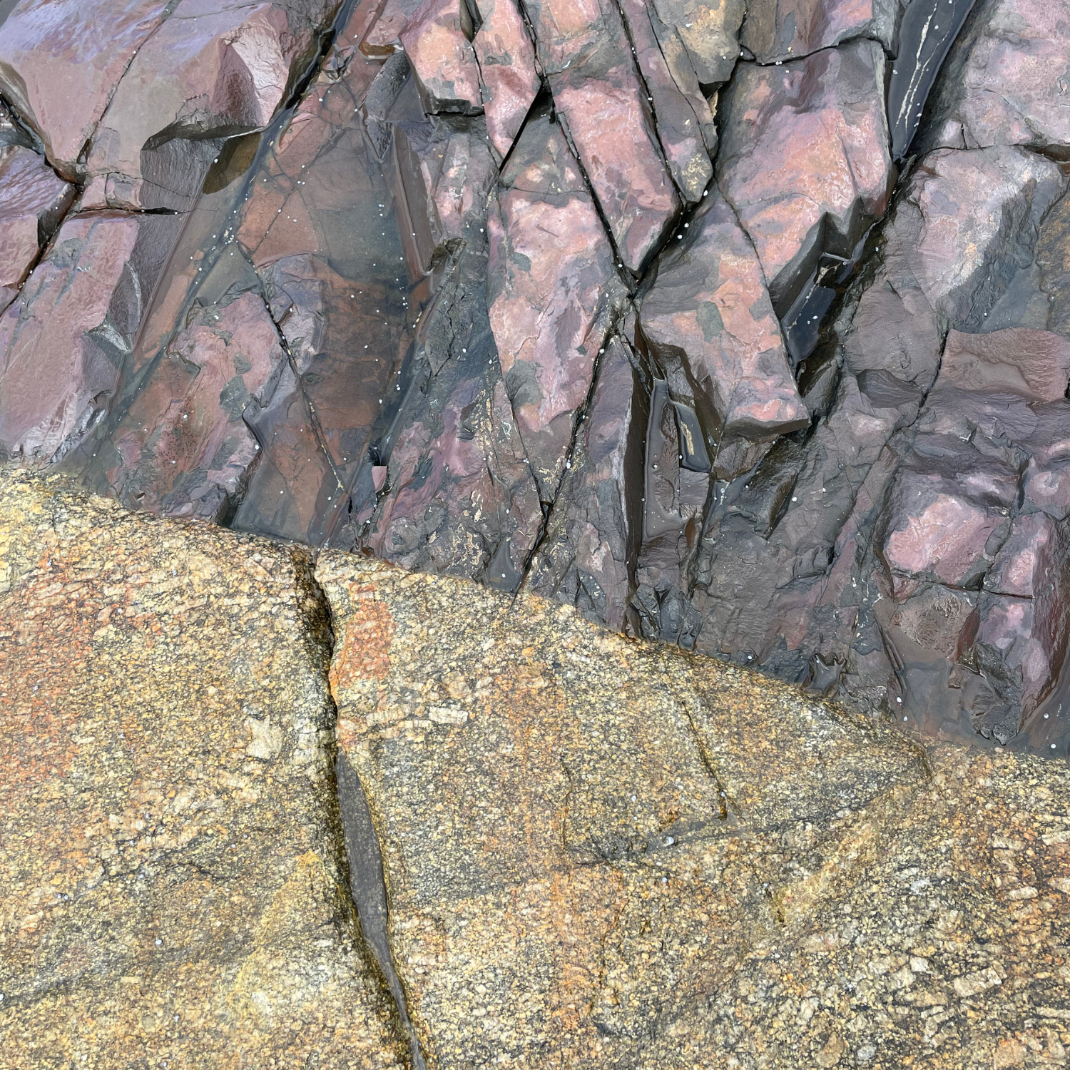rocks.png