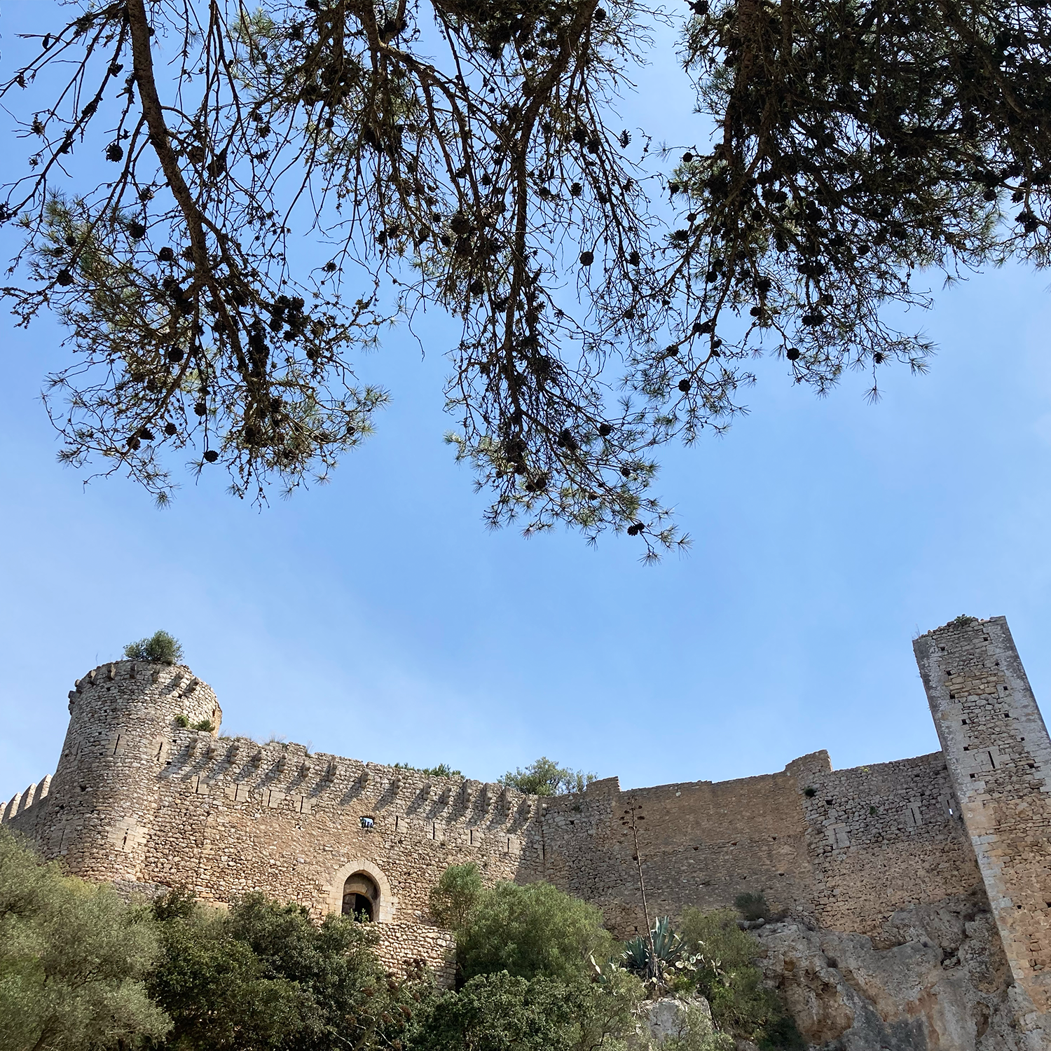 castell.png