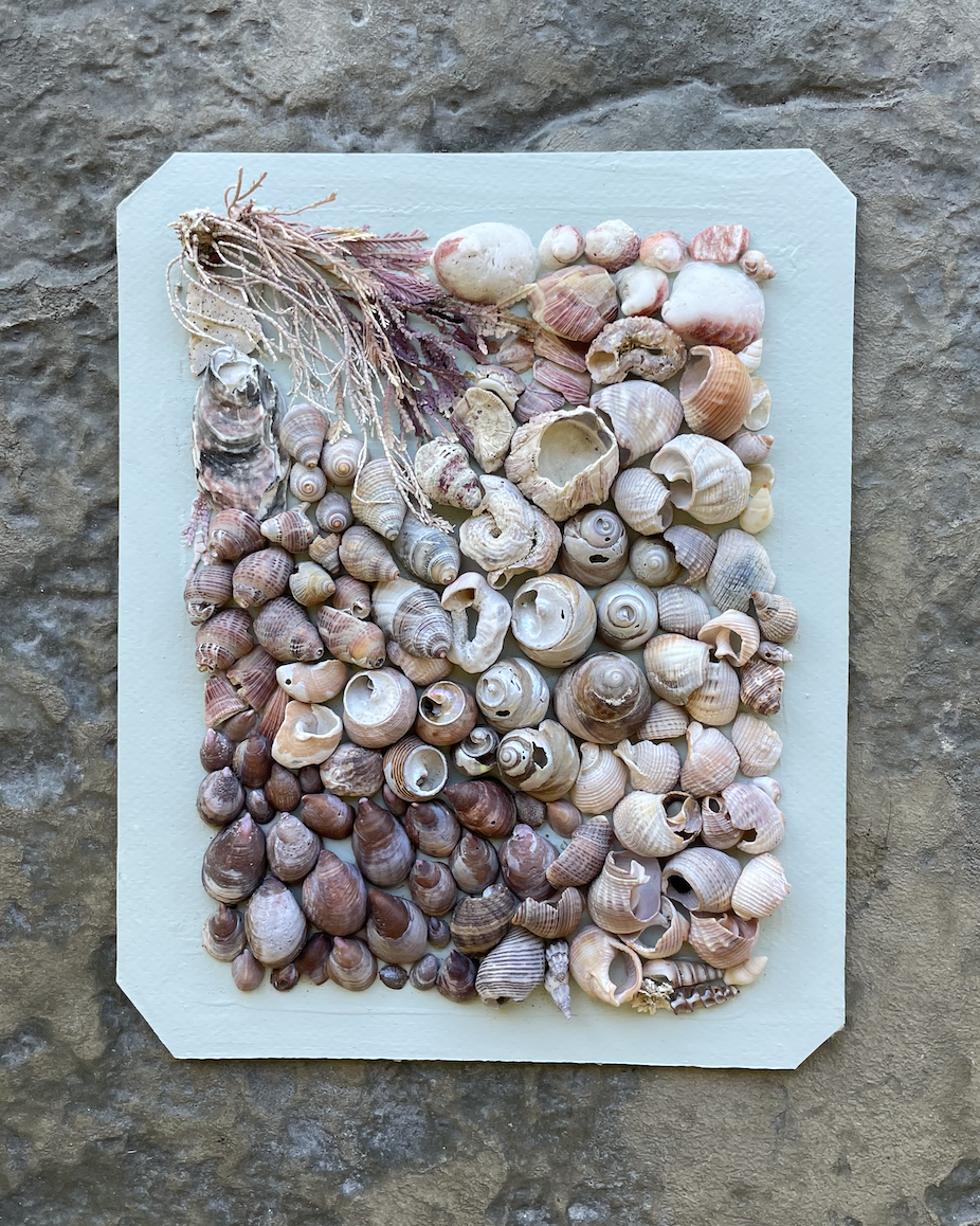 Pebble