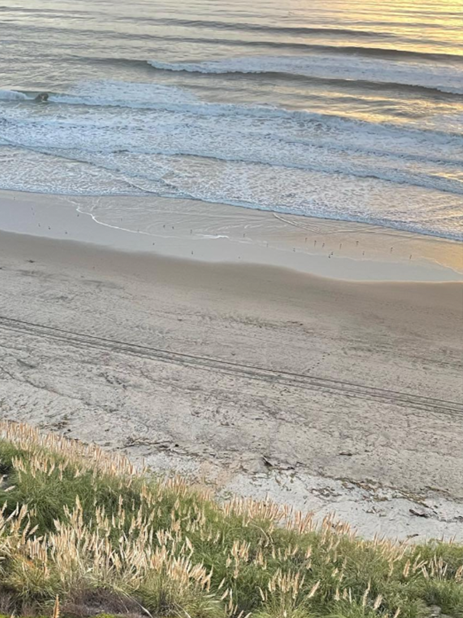 manresa beach.png