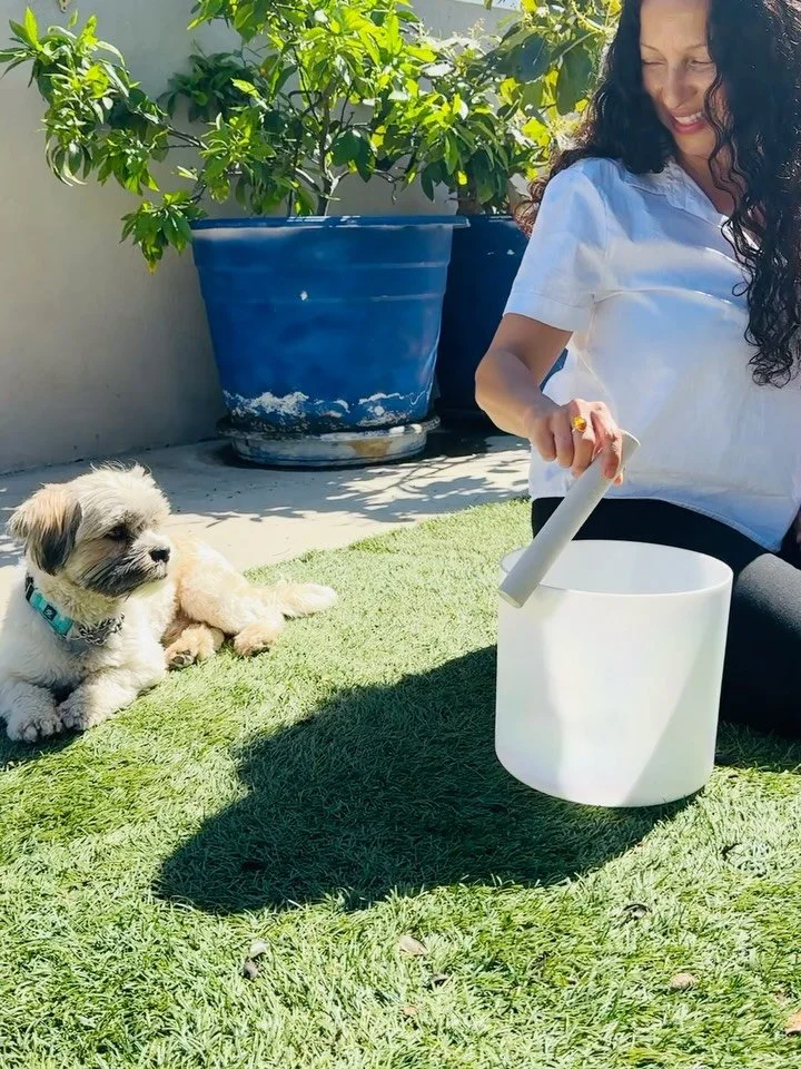 Sound check with @jessicaericksontherapy for tomorrow&rsquo;s sound bath 🤍 Sweetest quiet guests stayed the whole time&hellip; I think they approve🐶✨

#SoundBath
#CrystalBowls
#doglovers 
#PeacefulAfternoon
#selfcare