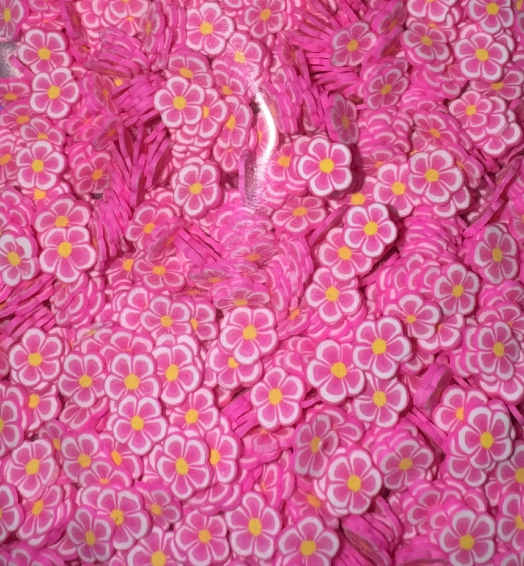 Dark pink flowers