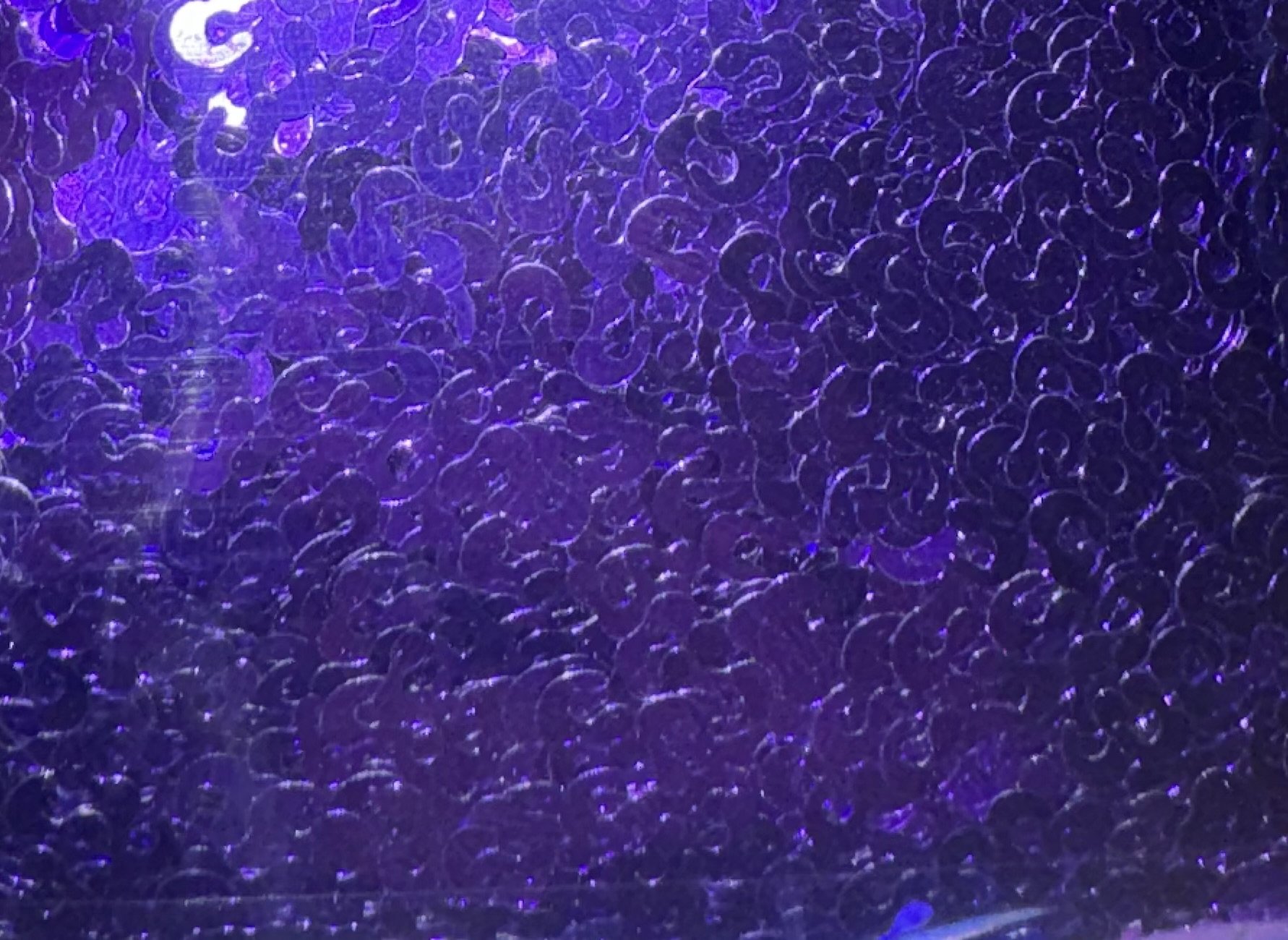 Purple leopard print