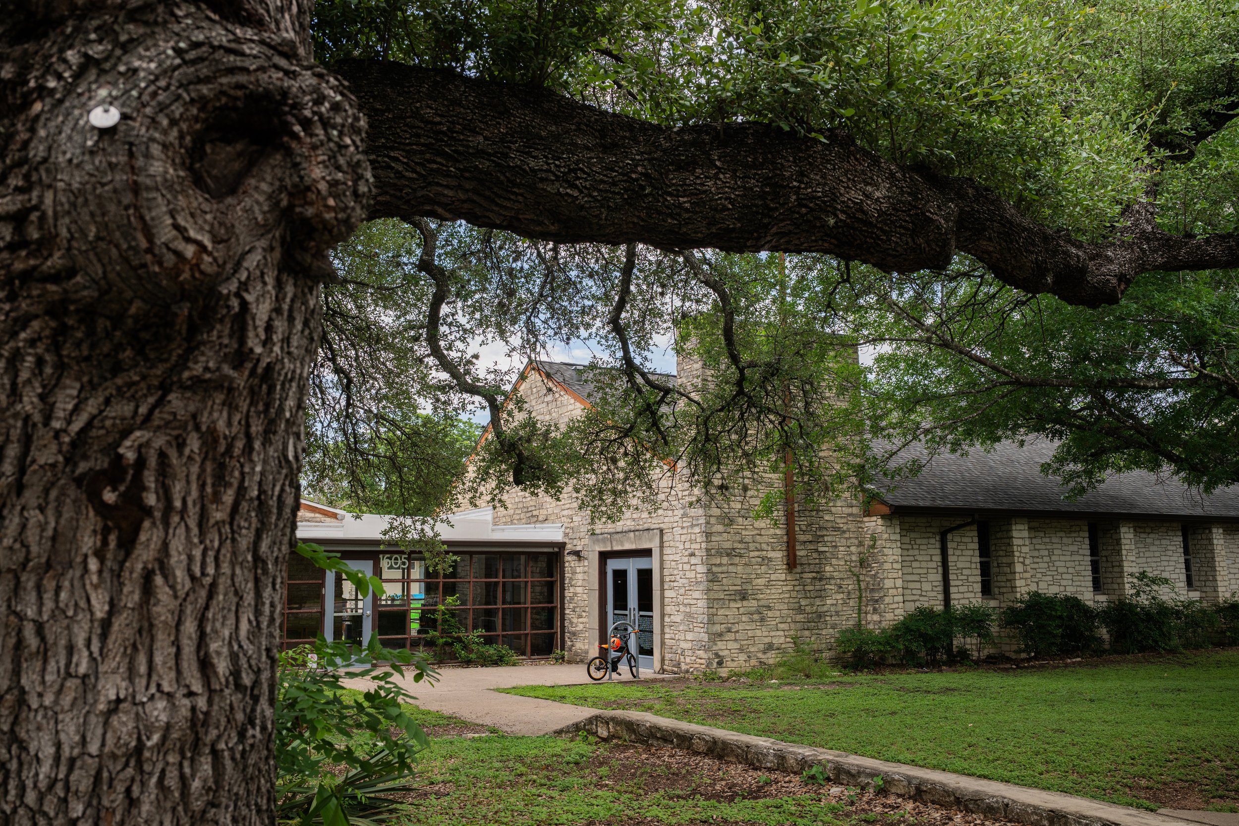 Low angle view of a large, textured tree with green leaves in front of a house with stone walls, windows, and a door, with a bike outside and a manicured yard.