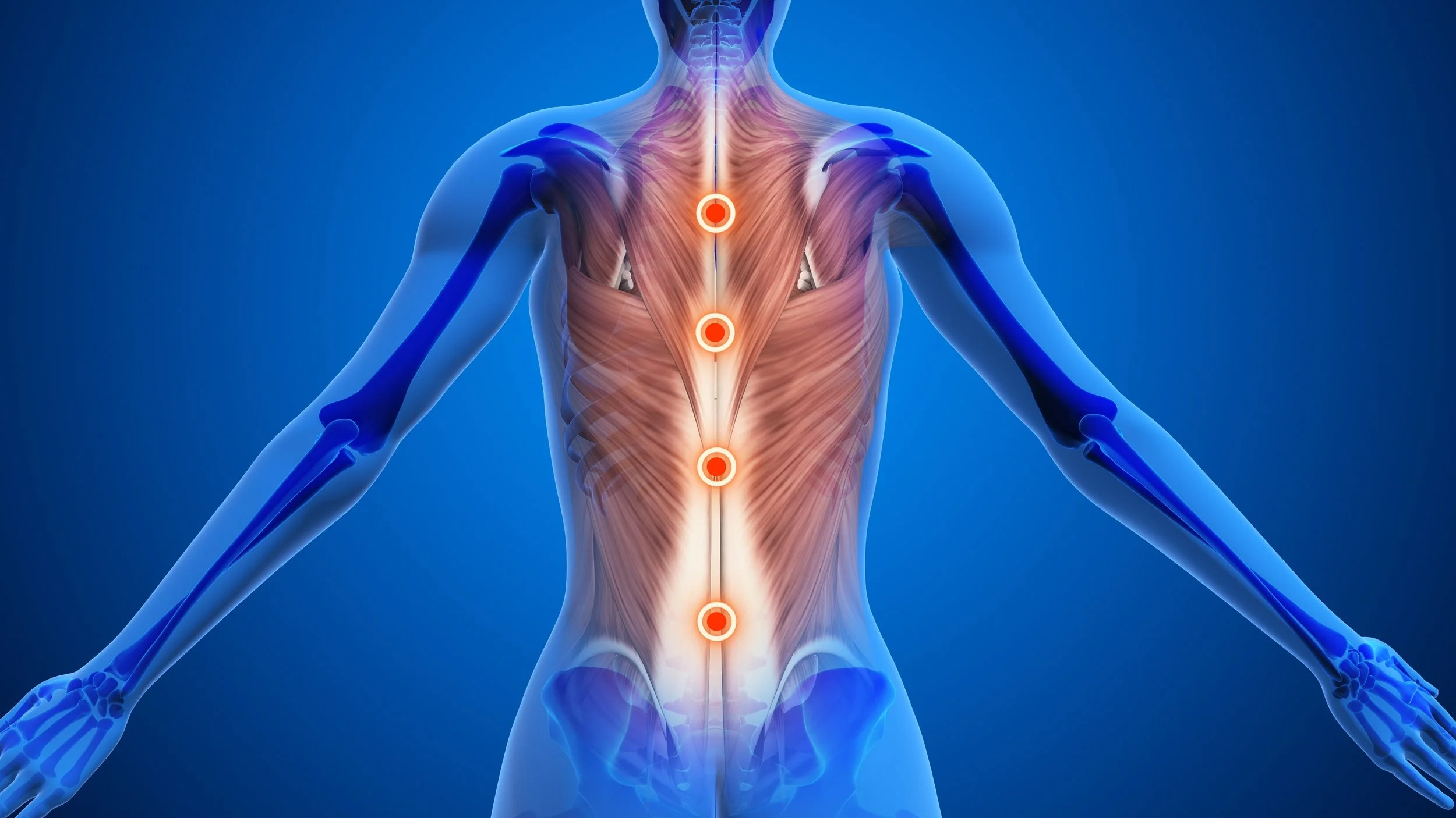 image of Energy Body