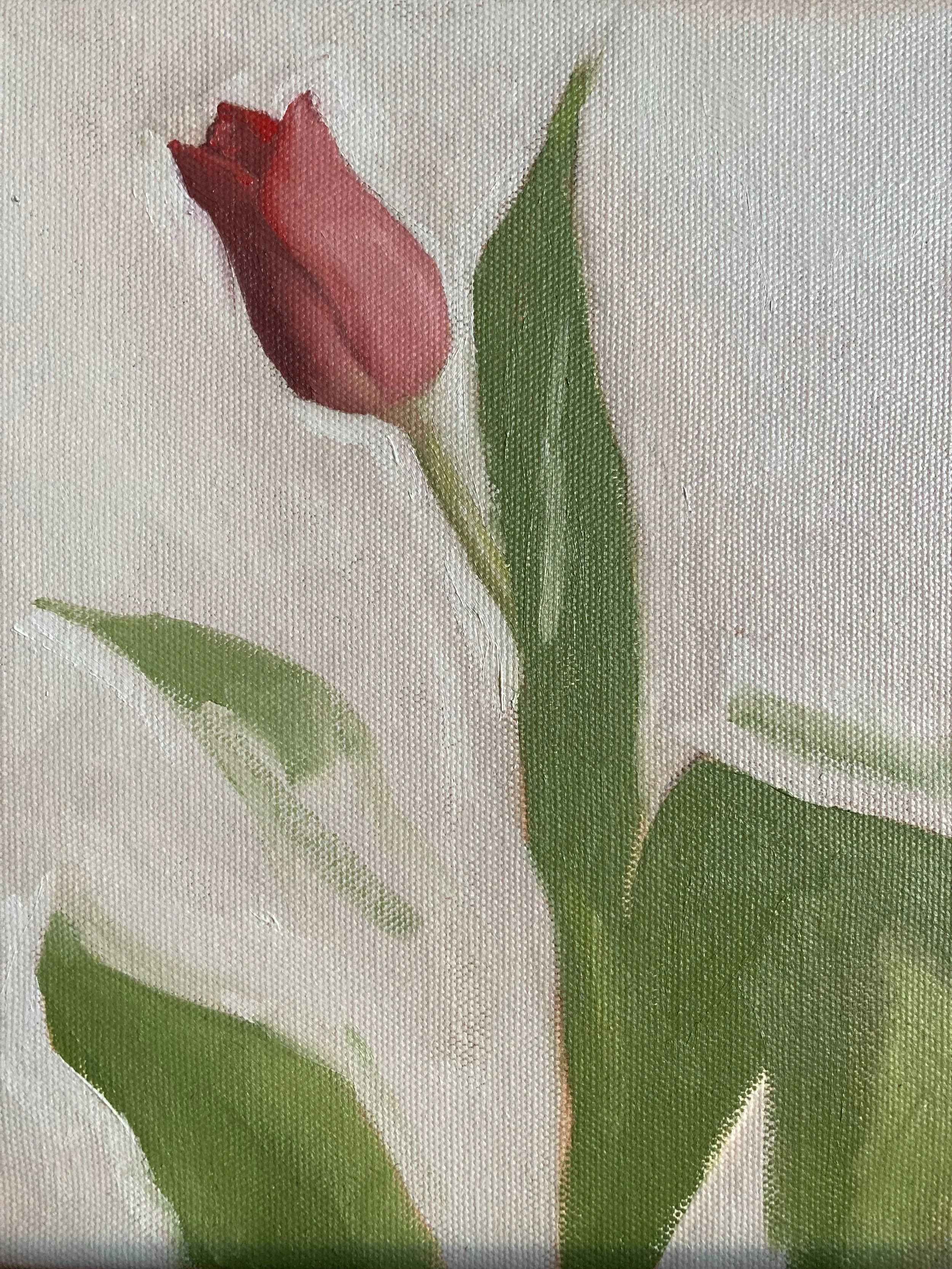 "Lone Tulip", 8x10, oil on canvas.