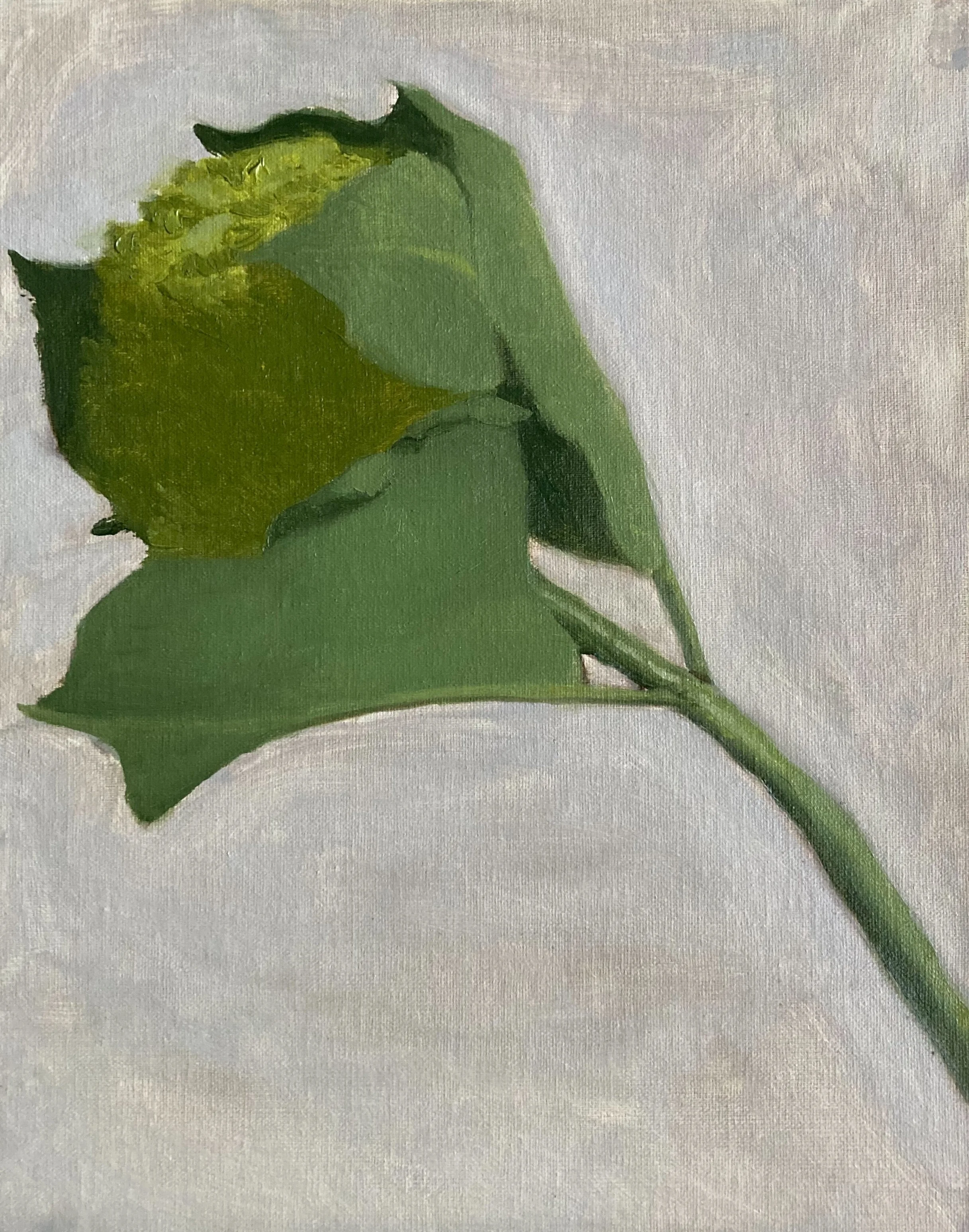"Green Hydrangea in Motion", 9x12, oil on canvas.