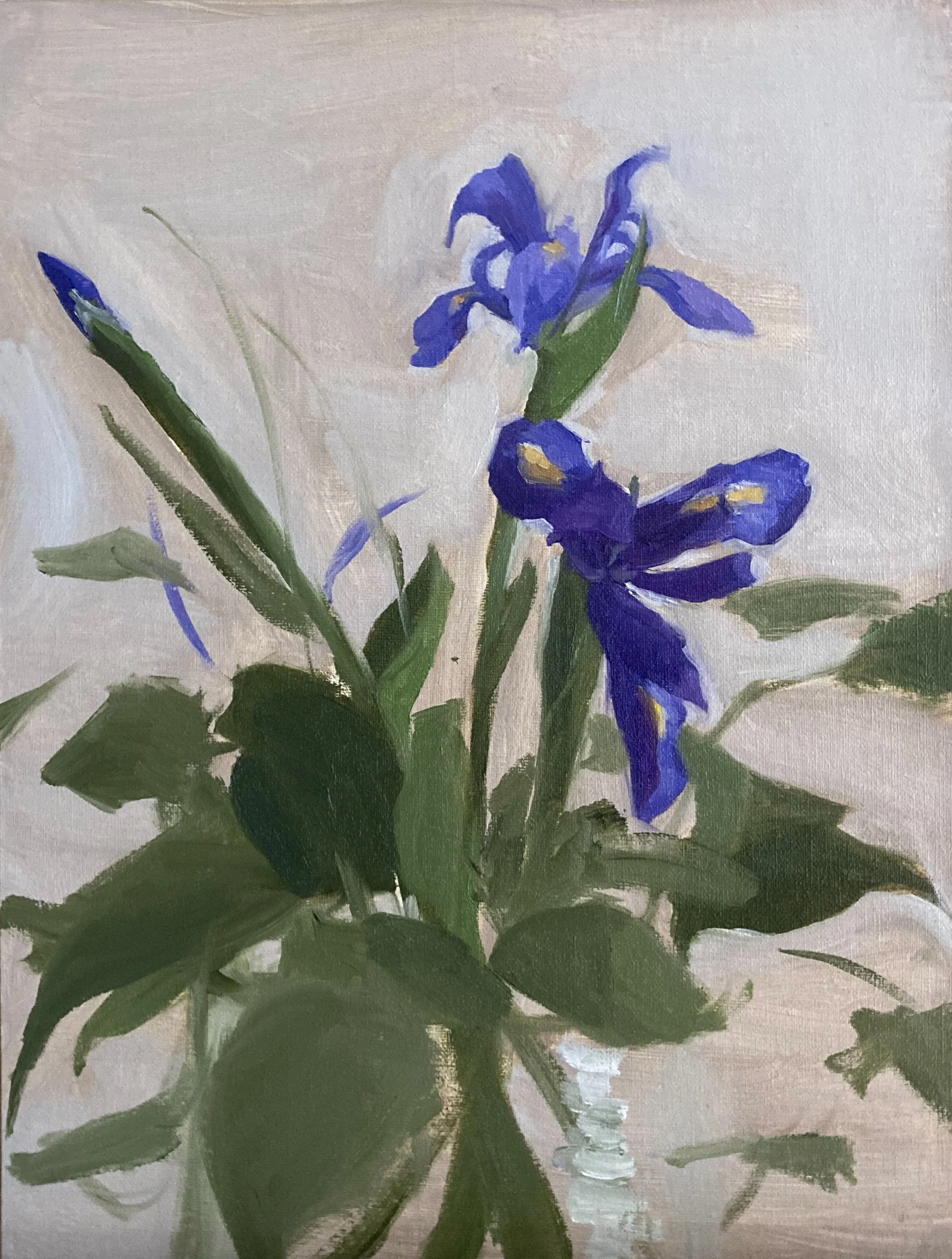 "Irises", 9x12, oil on canvas.