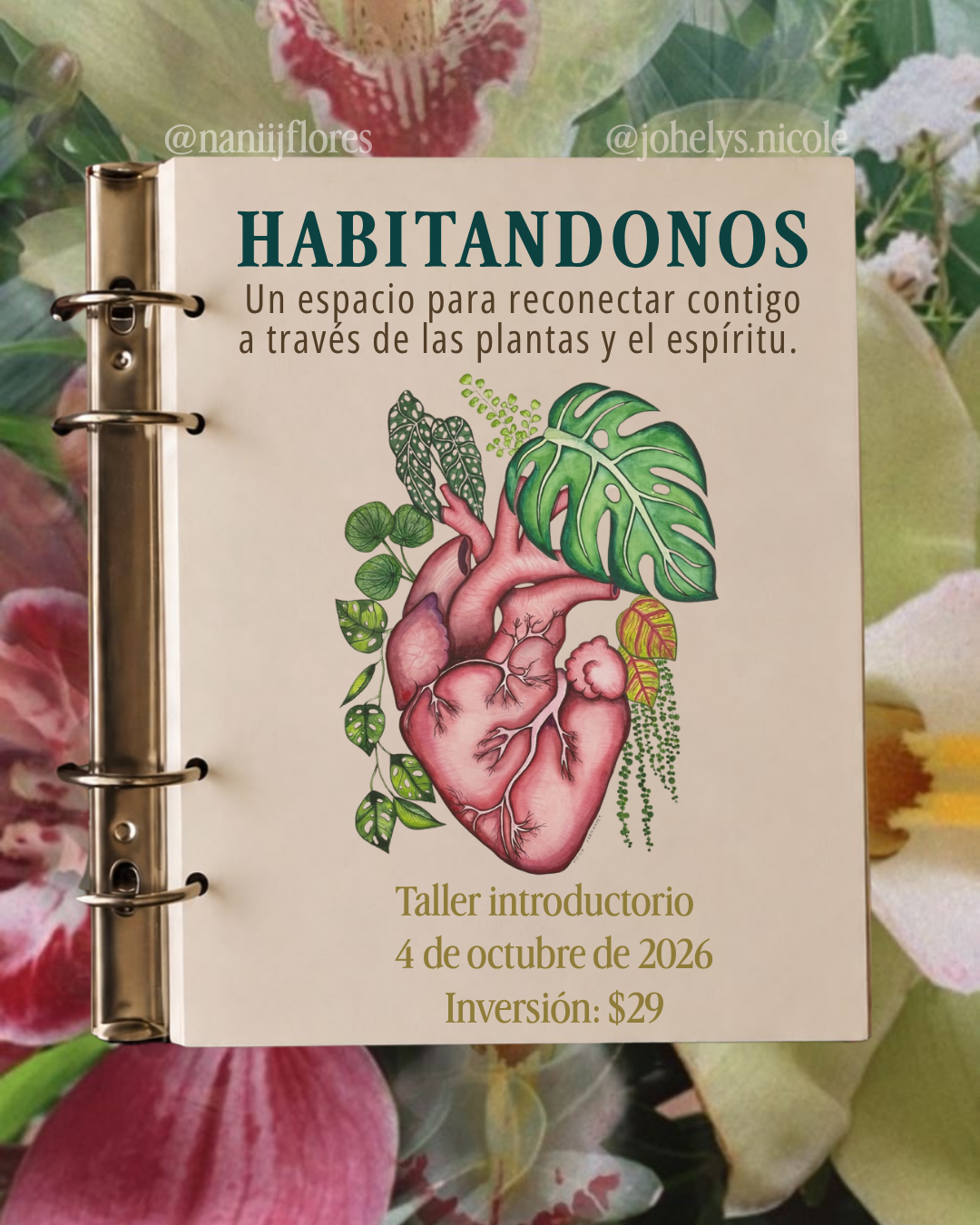 Taller Habitarnos