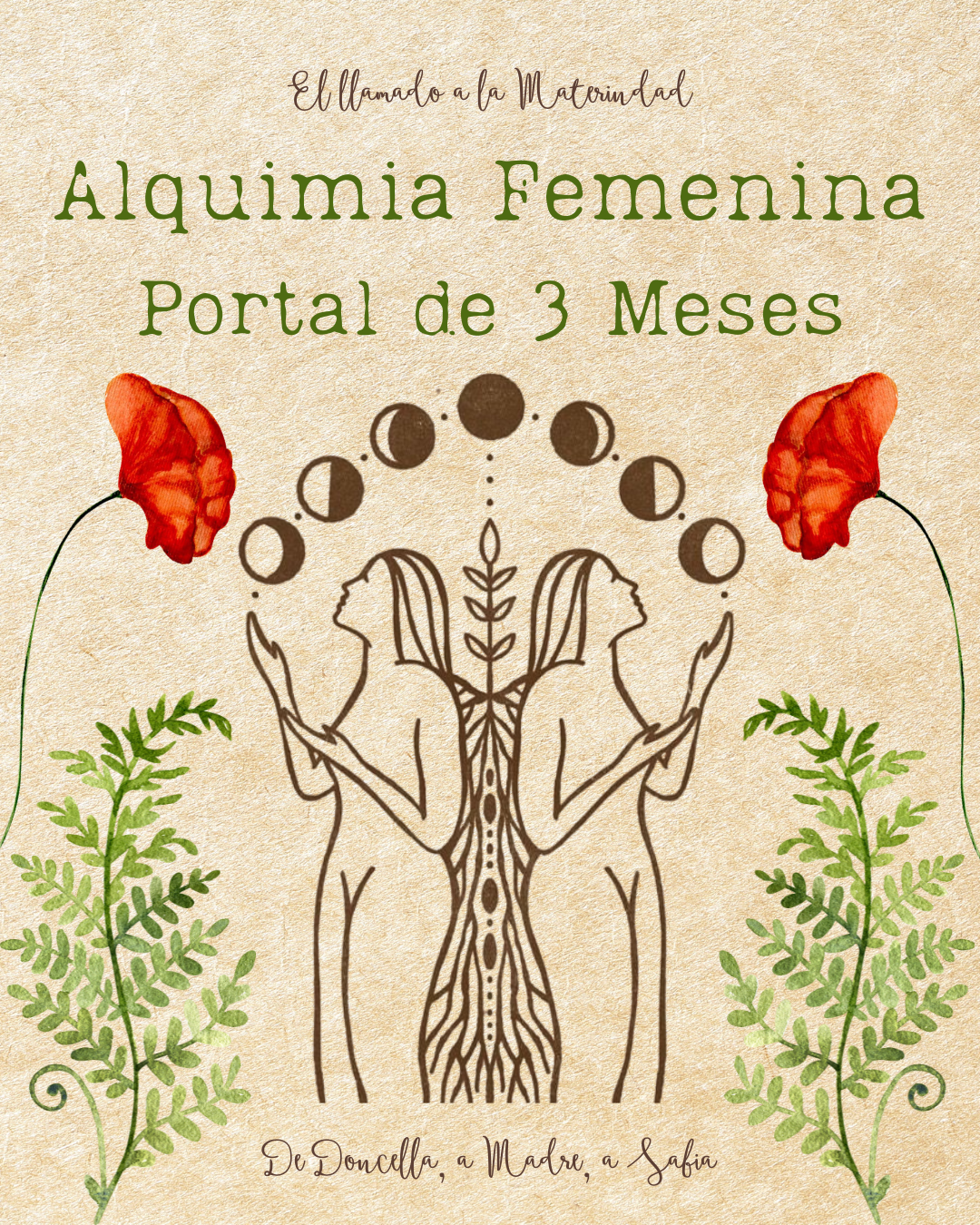 Alquimia Femenina